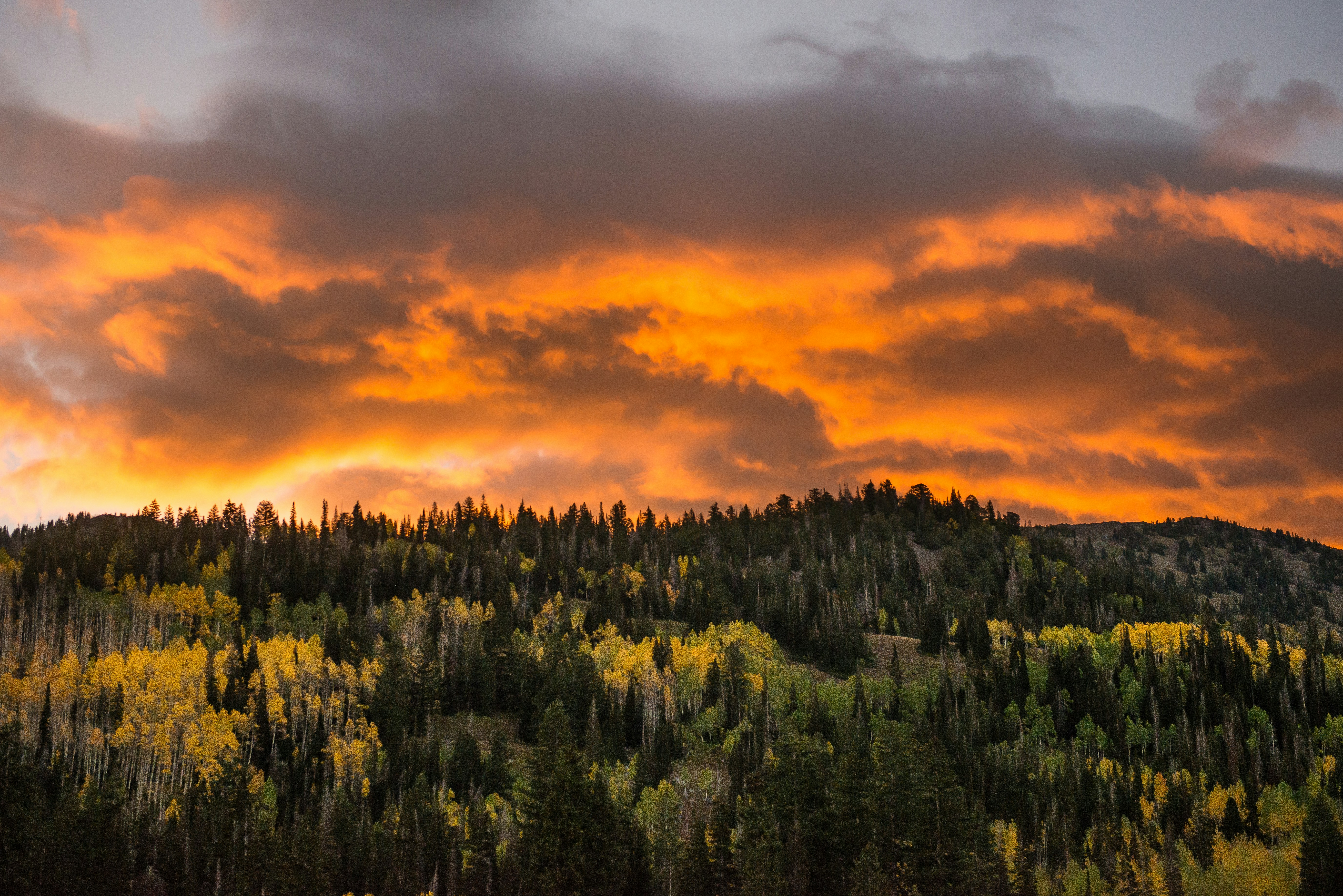 Sunset Over Autumn Mountain Forest