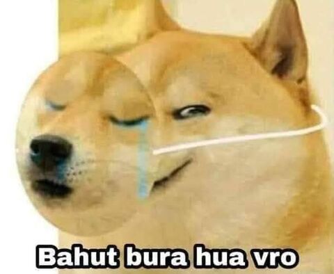 Bahut Bura Hua Vro Sad Doge Meme