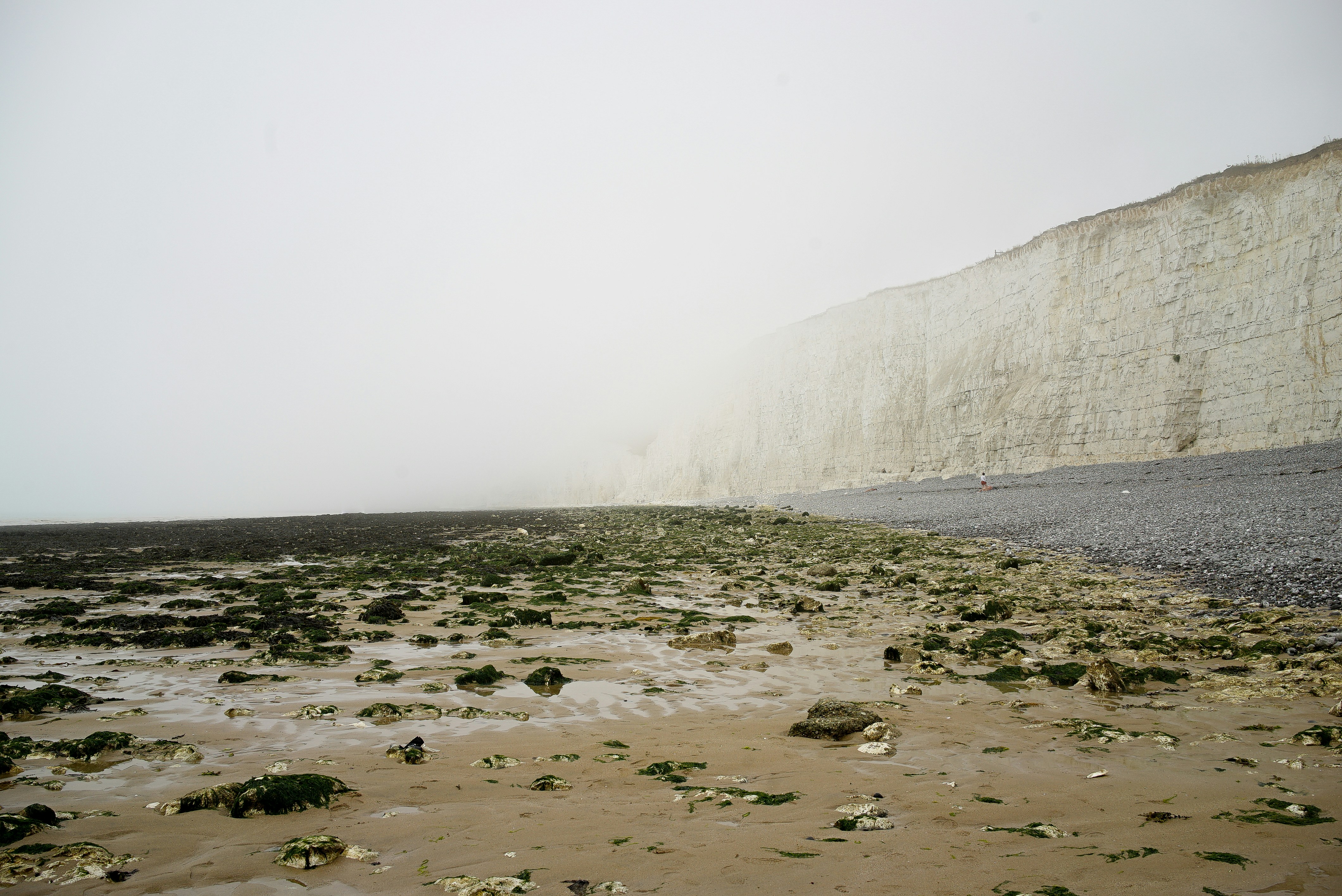Foggy Chalk Cliff Beach