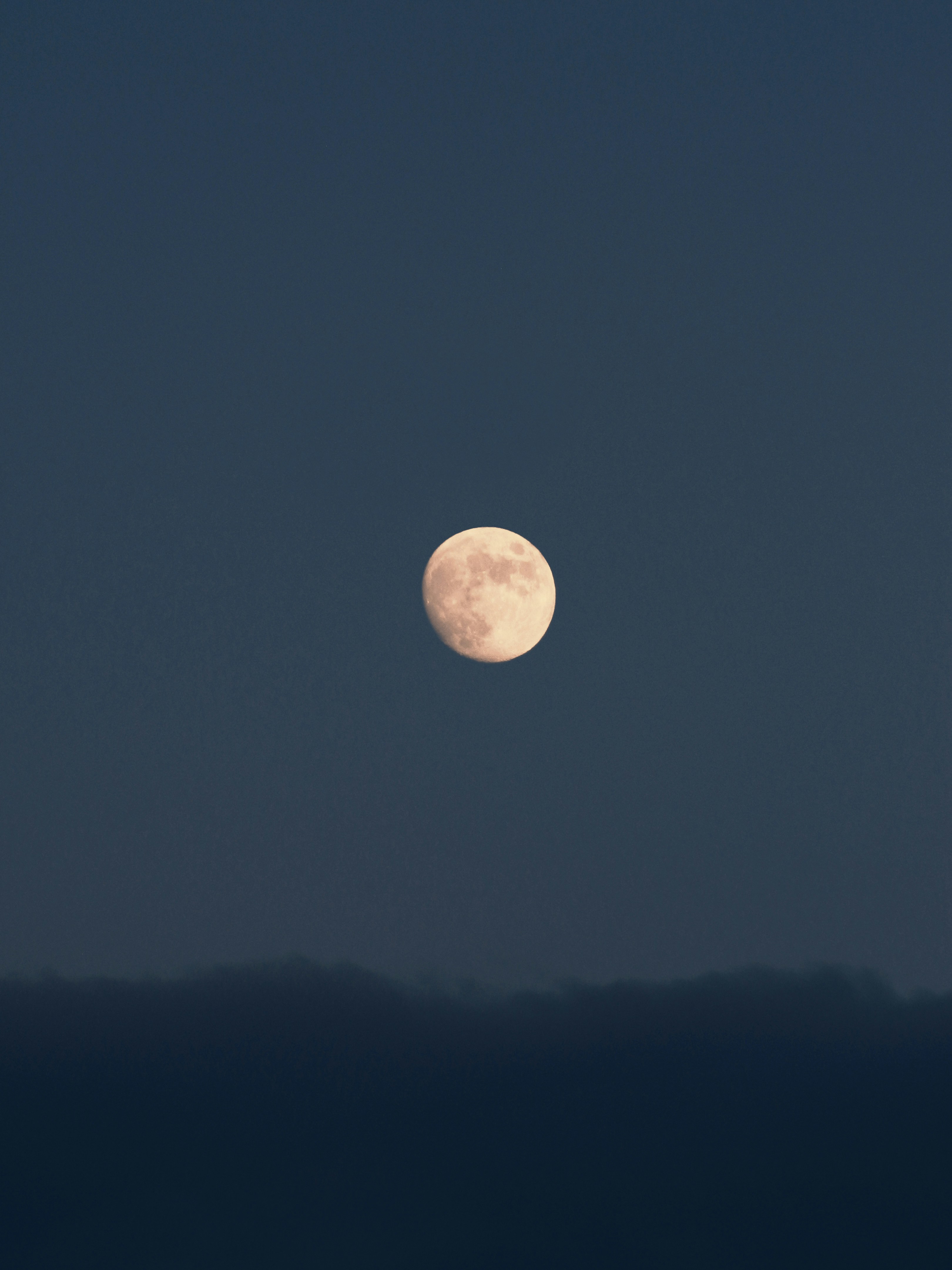 Full Moon in Night Sky