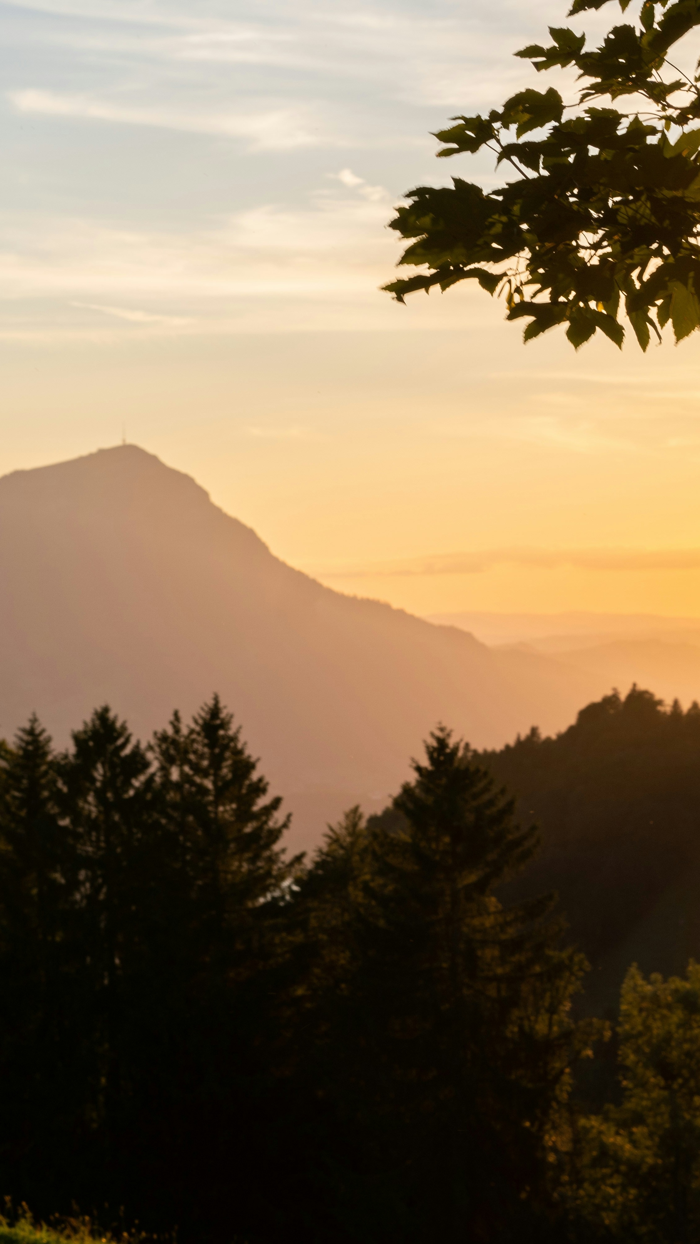 Landscapes