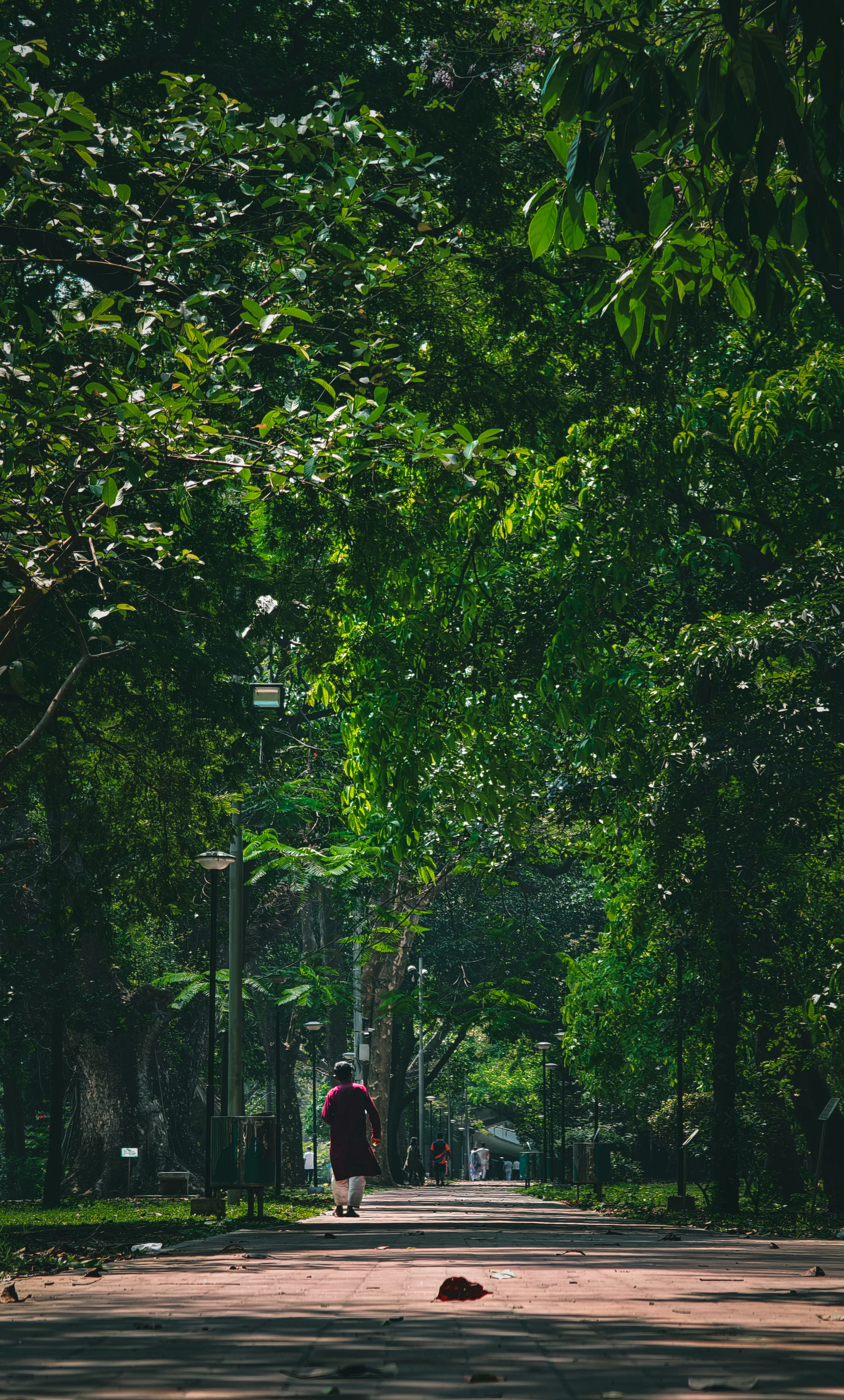 Wallpapers