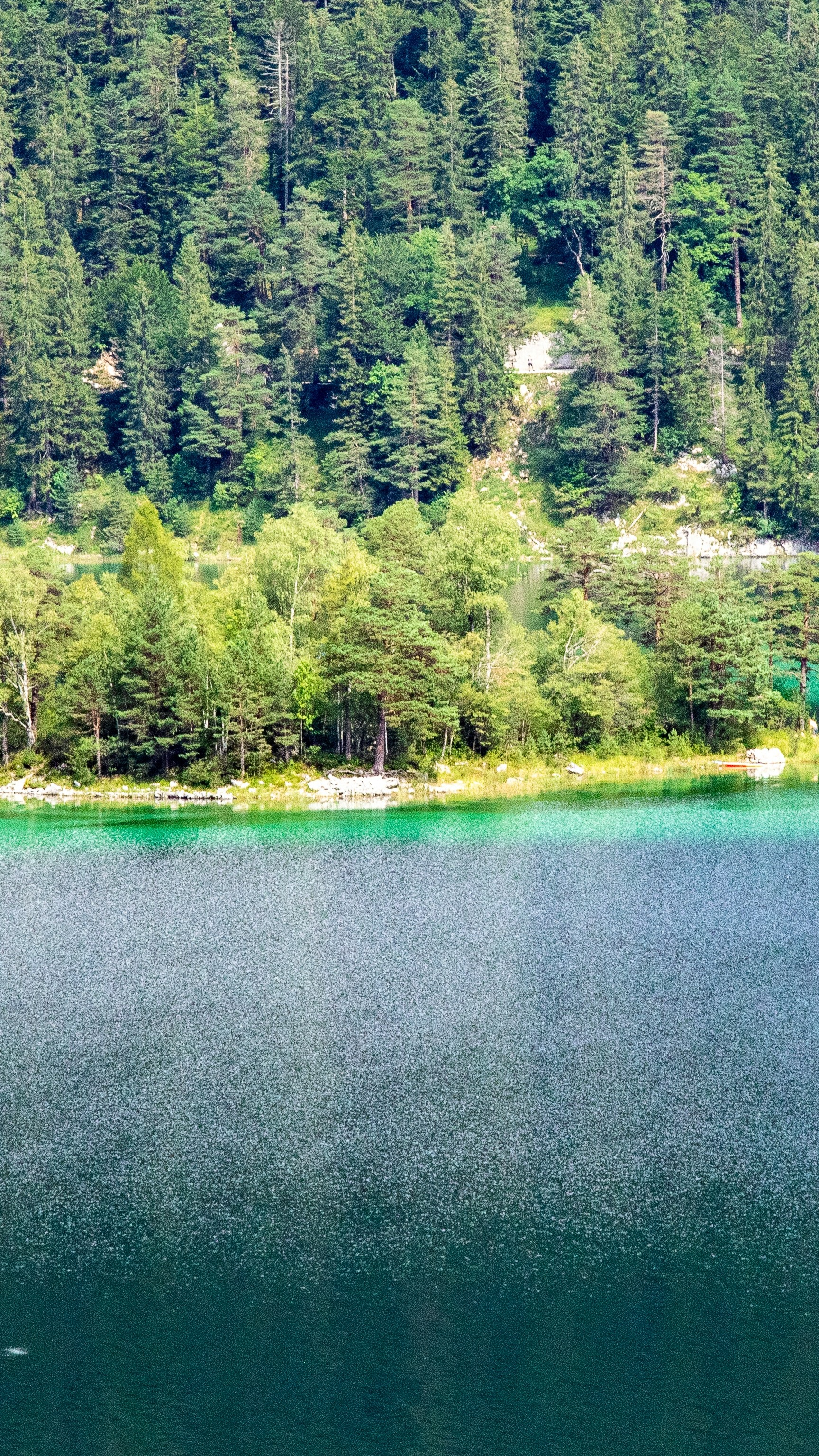 Wallpapers