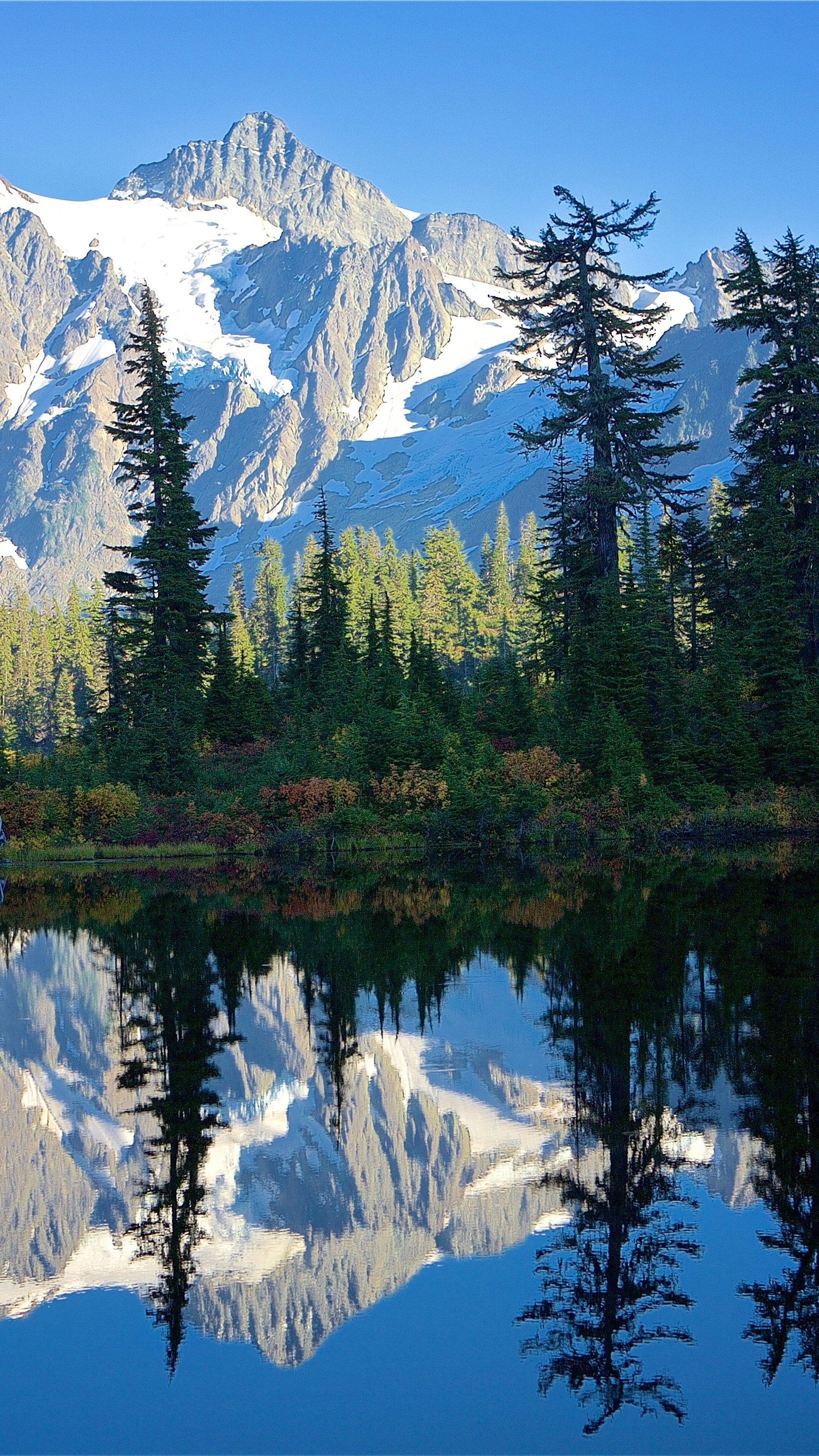 Wallpapers