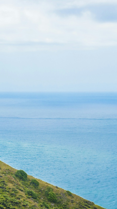 Coastal Hillside Ocean View