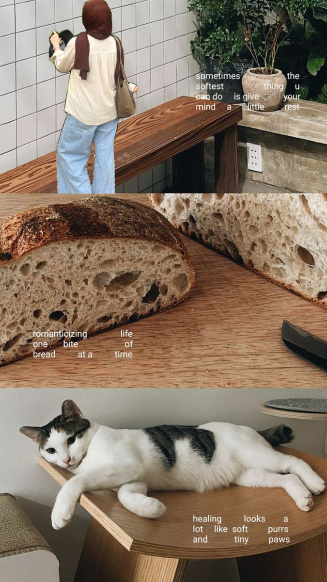 Calming Cozy Daily Aesthetic Collage