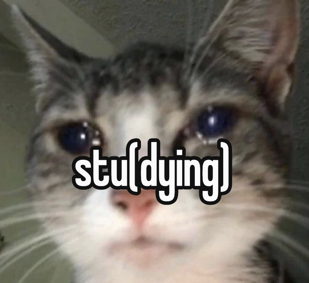 Stu(dying) Crying Cat Meme