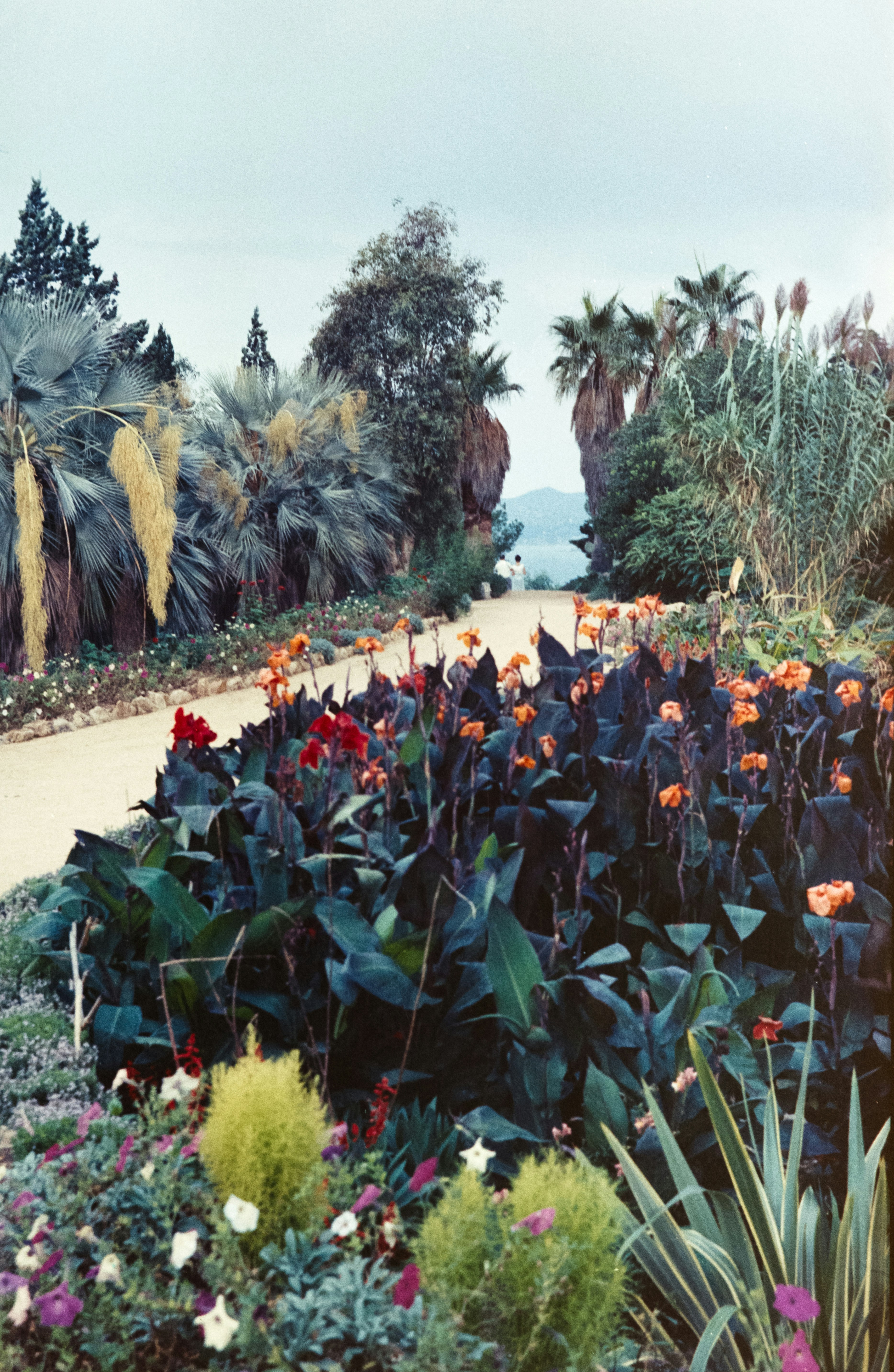 Coastal Botanic Garden Path