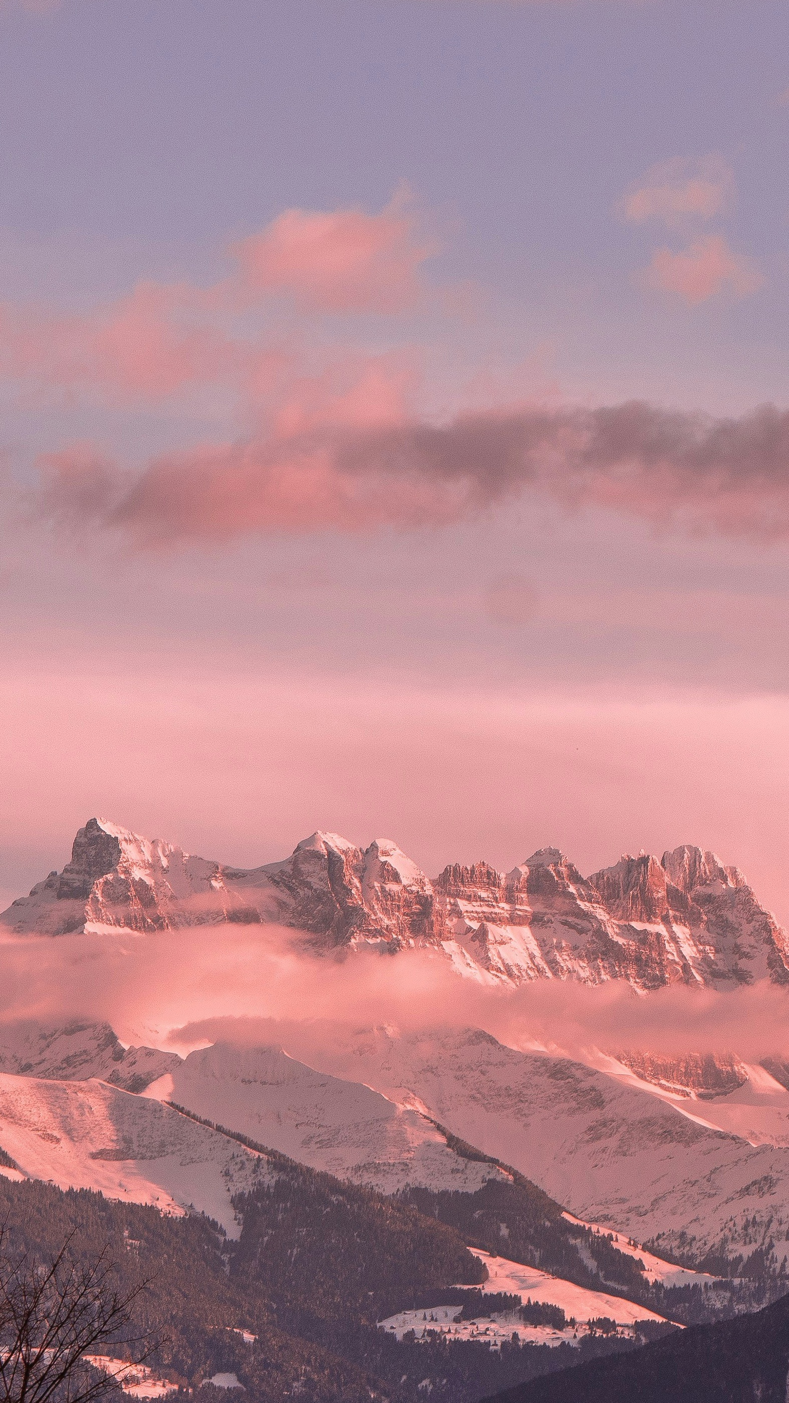 Wallpapers