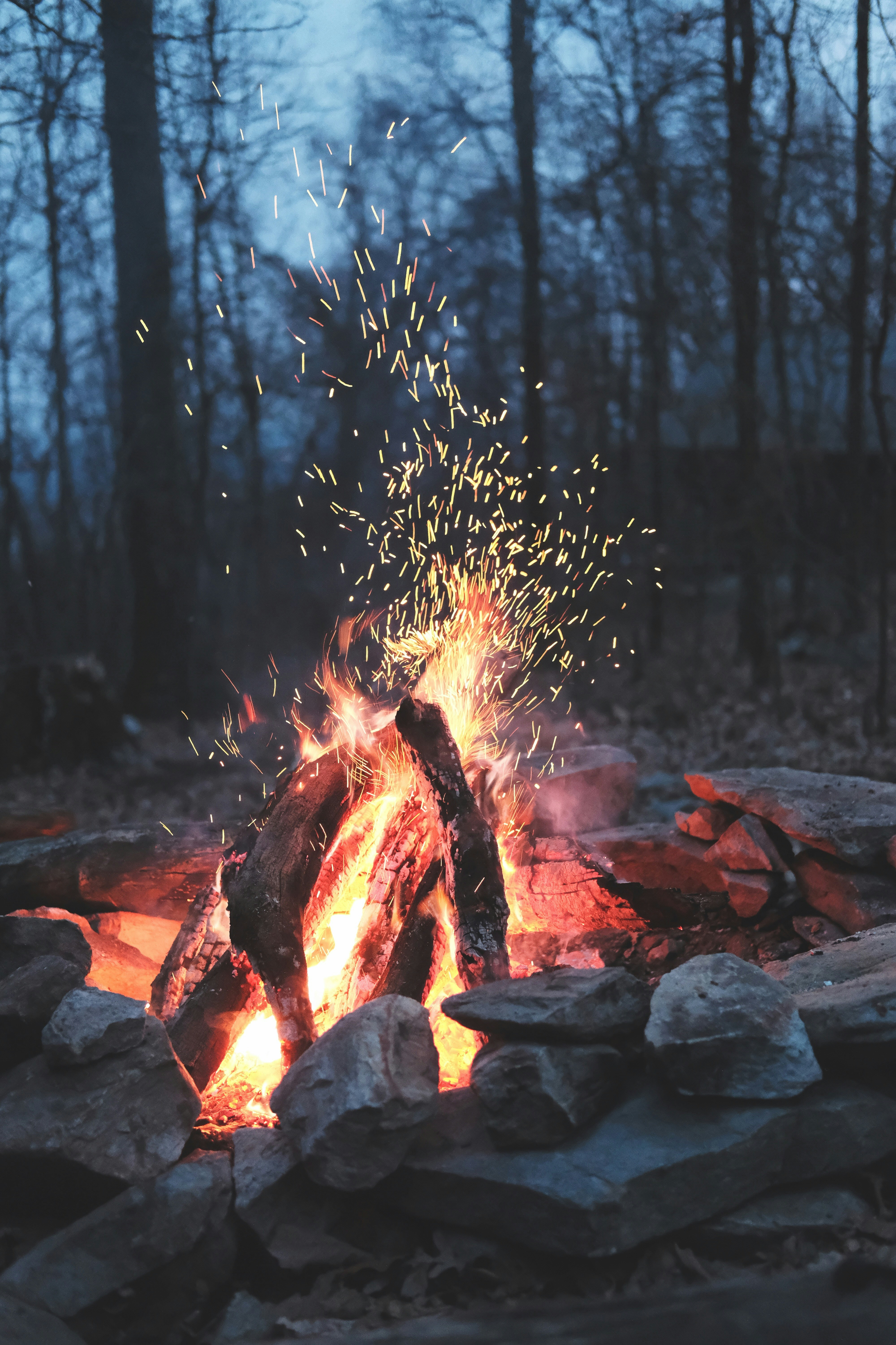 Campfire in Winter Forest