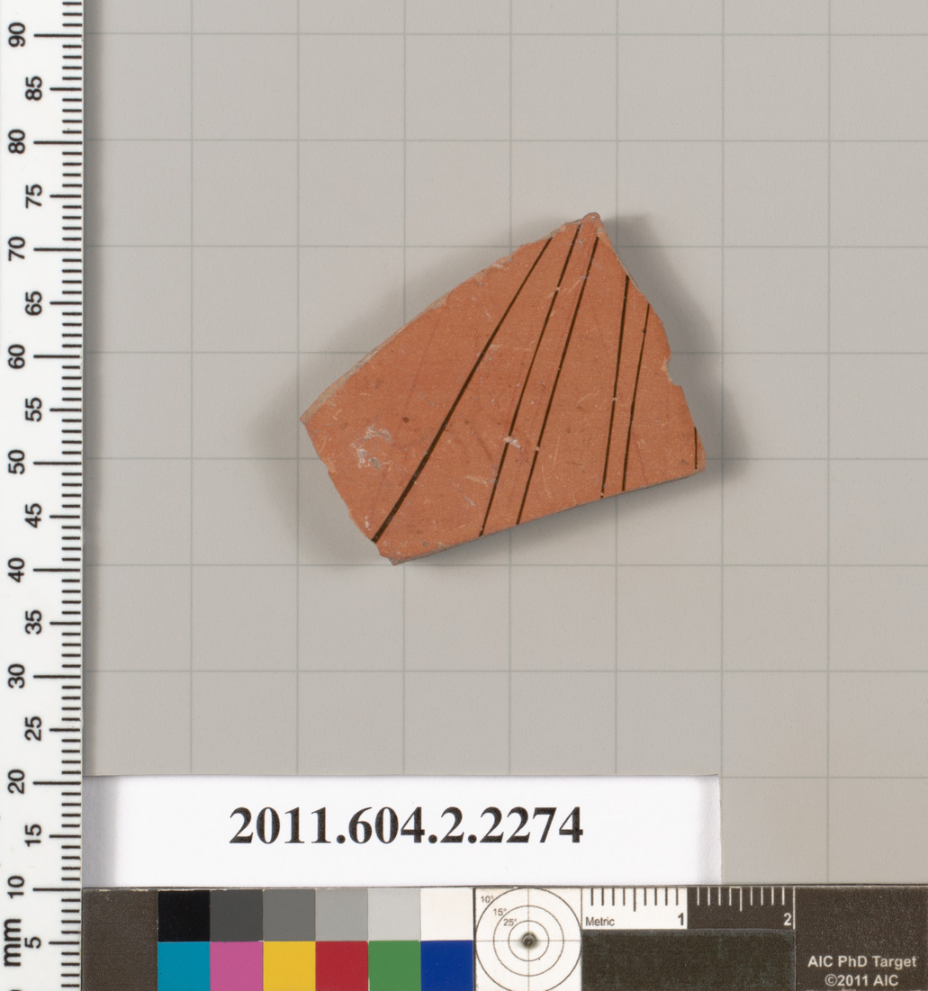 Museum Cataloged Pottery Shard