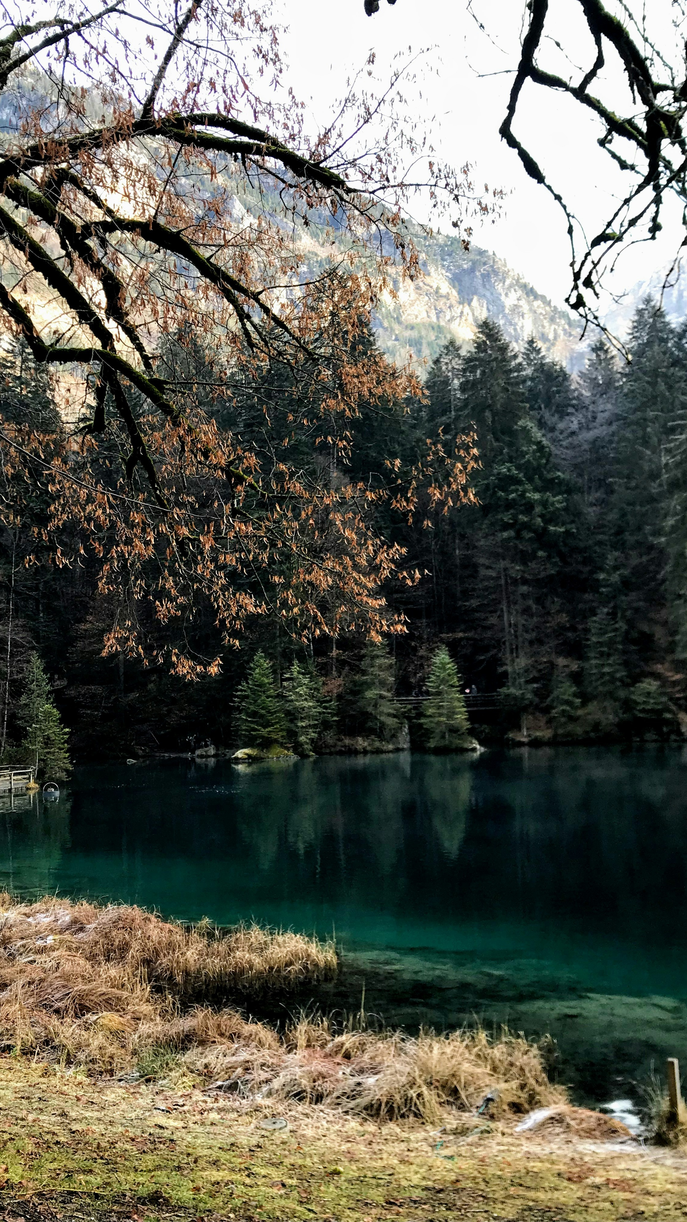 Landscapes