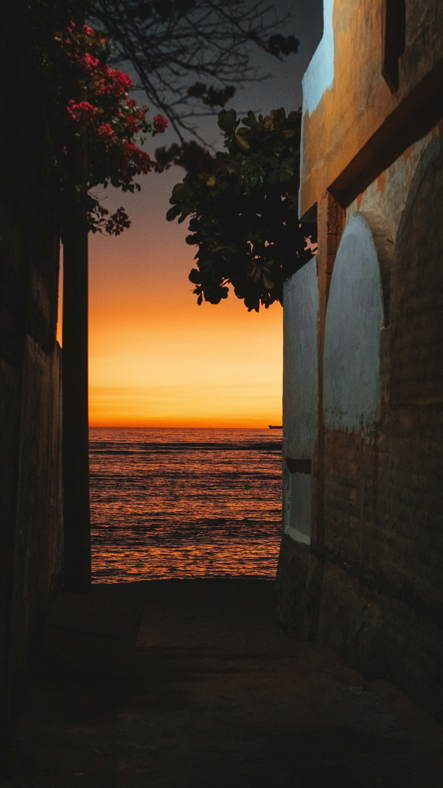 Wallpapers