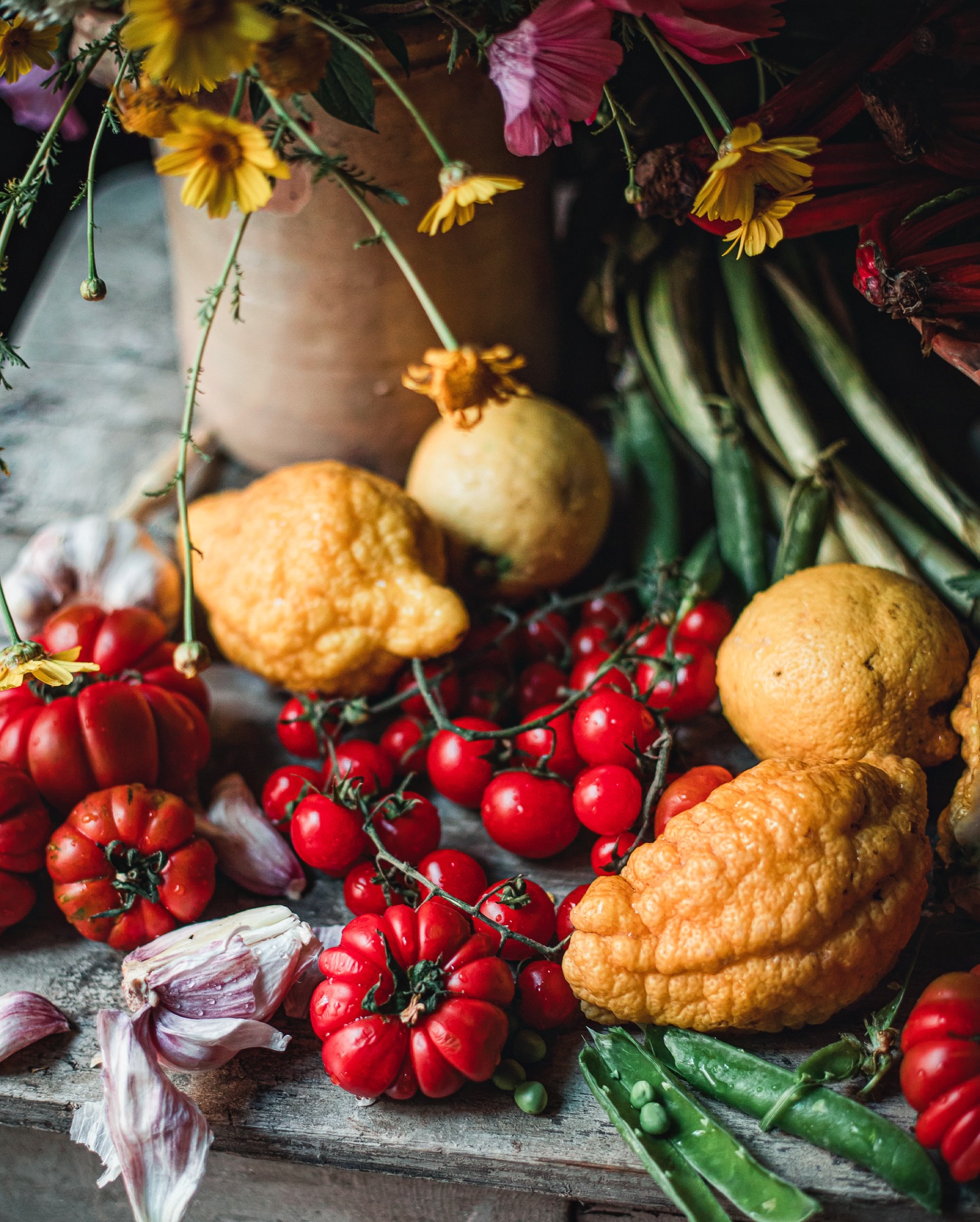 Fresh Homegrown Garden Produce Still Life