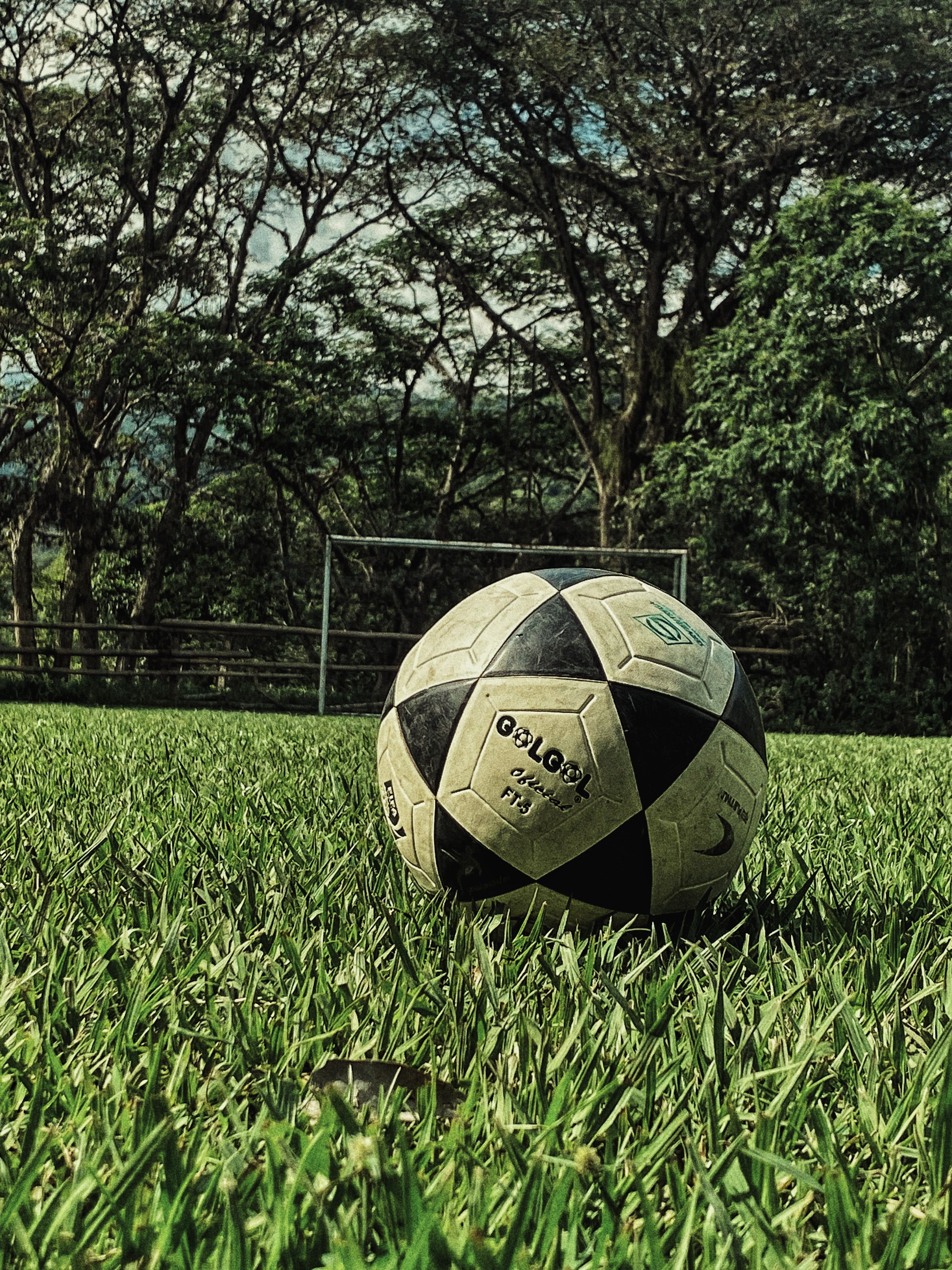 Soccer Ball on Outdoor Soccer Field