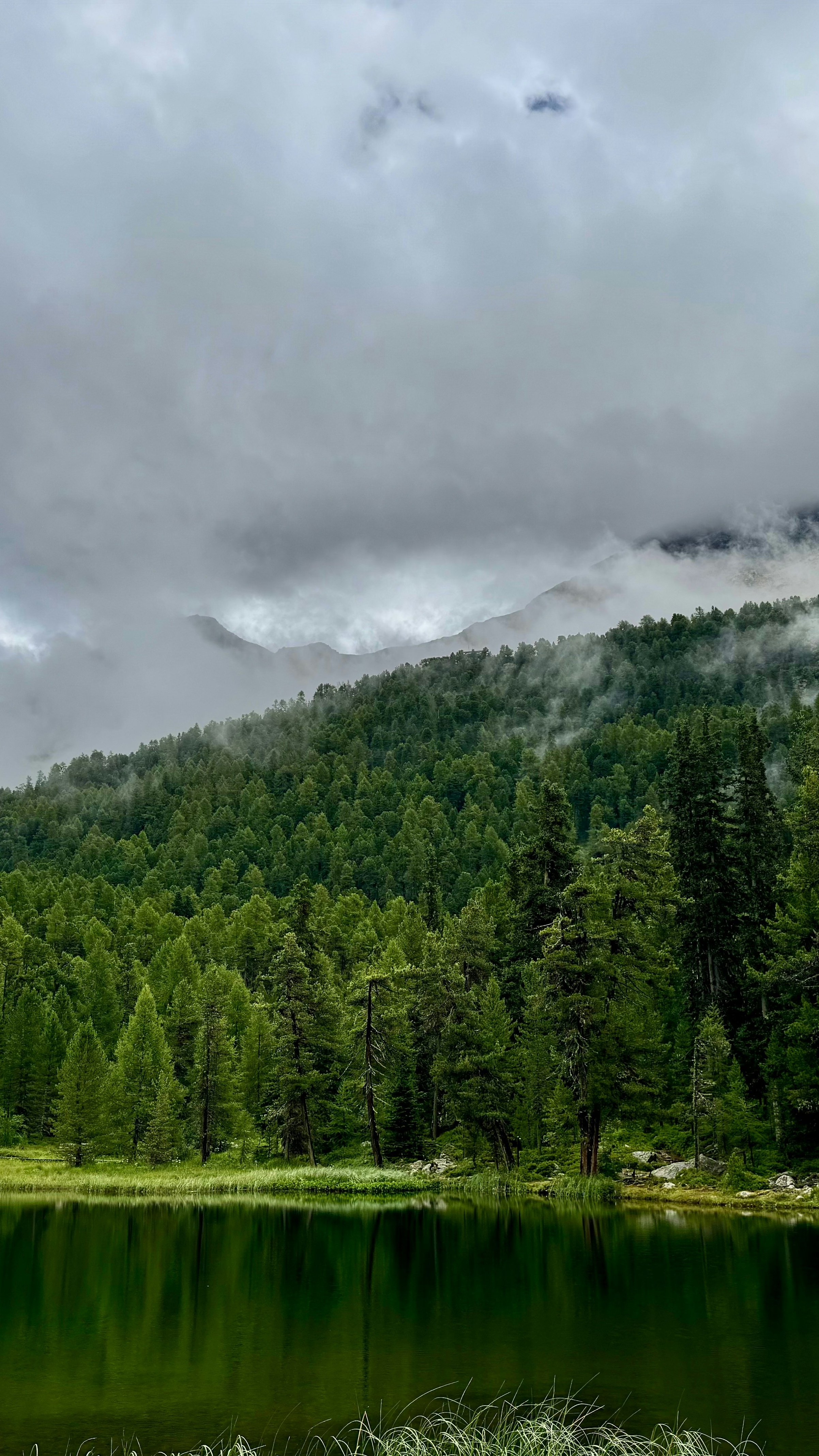 Landscapes