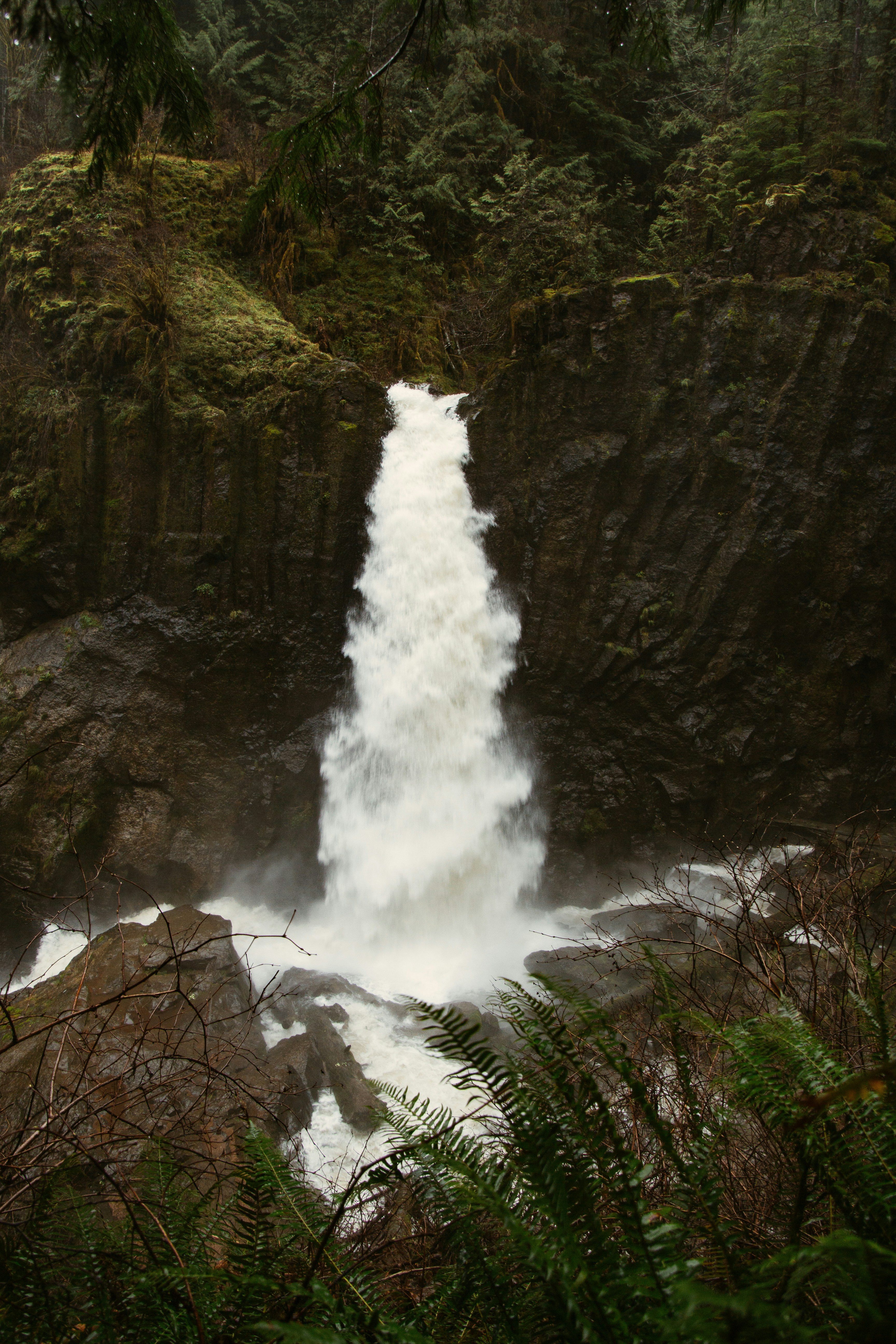 Hidden Forest Waterfall