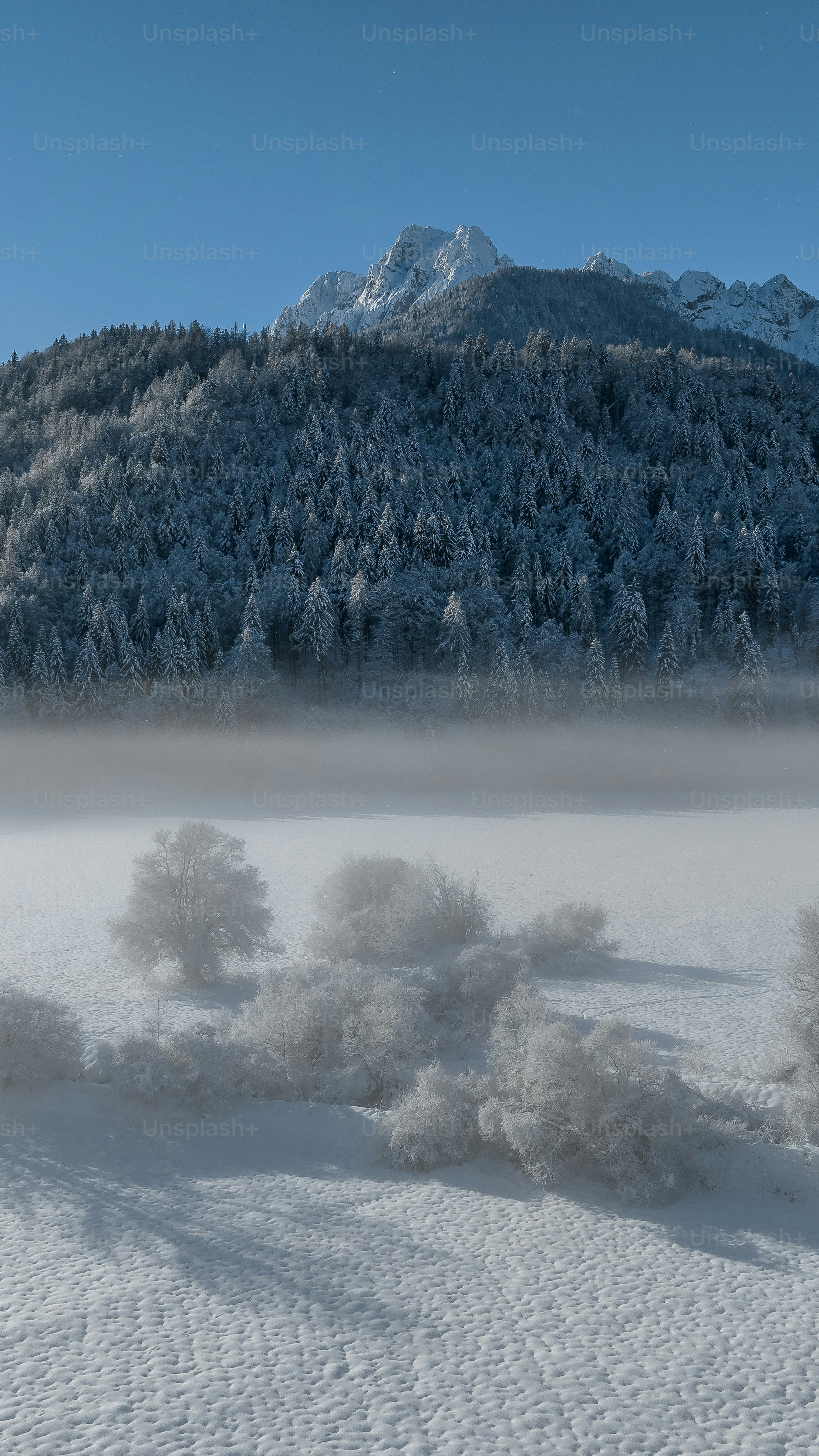 Snowy Winter Mountain Landscape