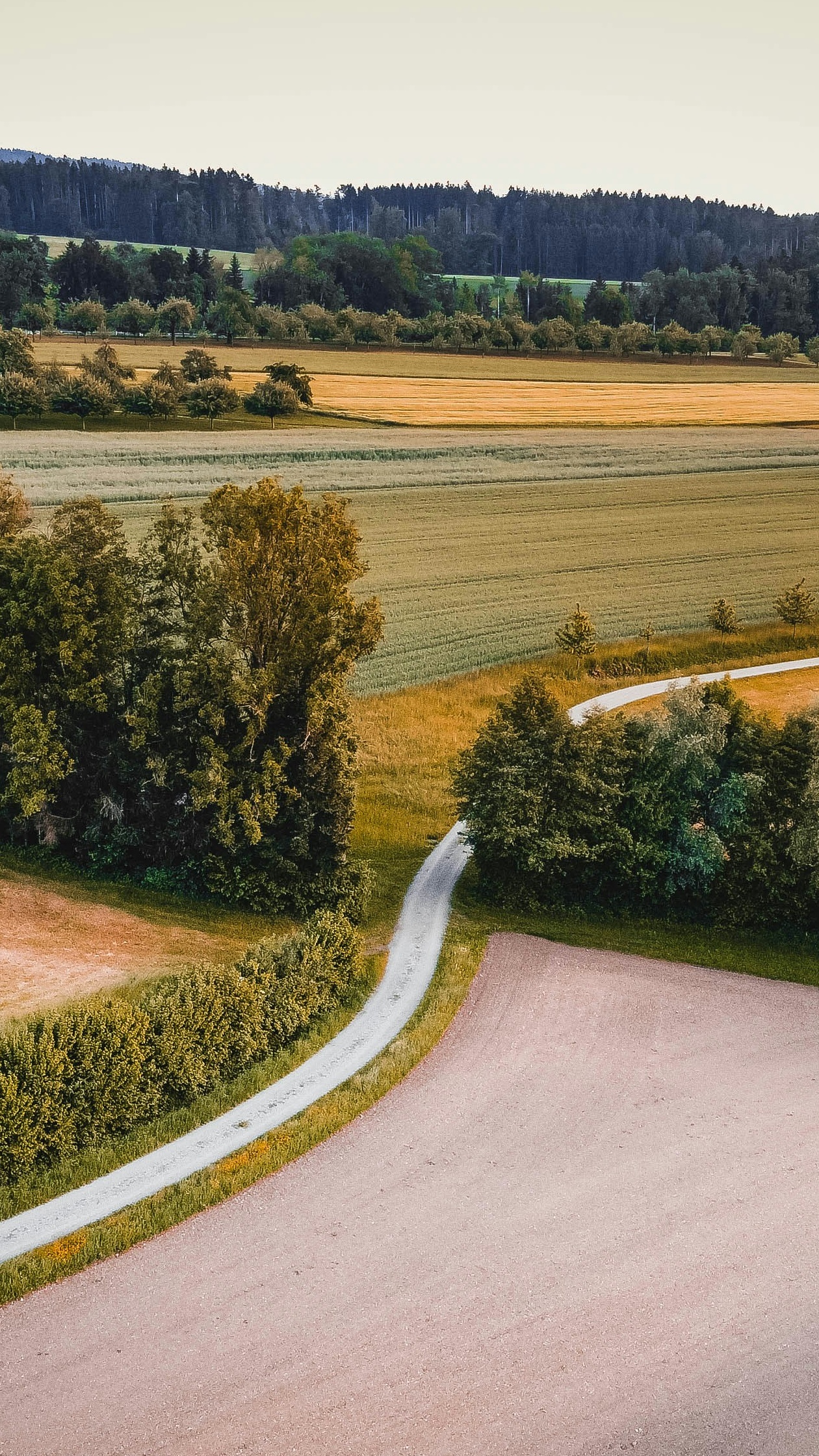 Wallpapers