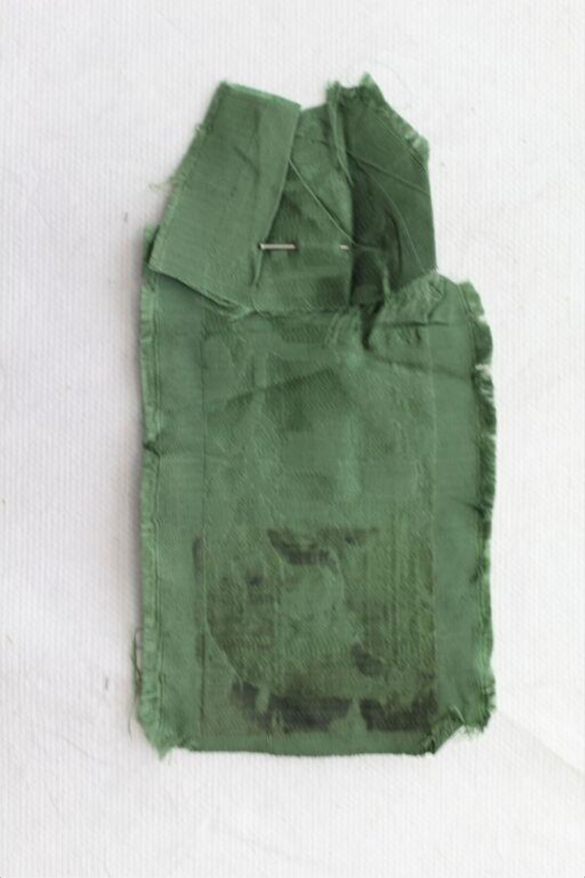 Pinned Green Fabric Scrap