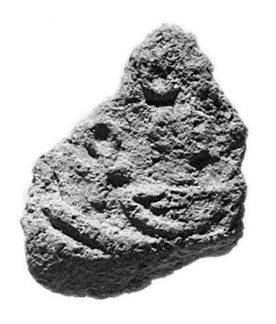 Rough Porous Rock Sample