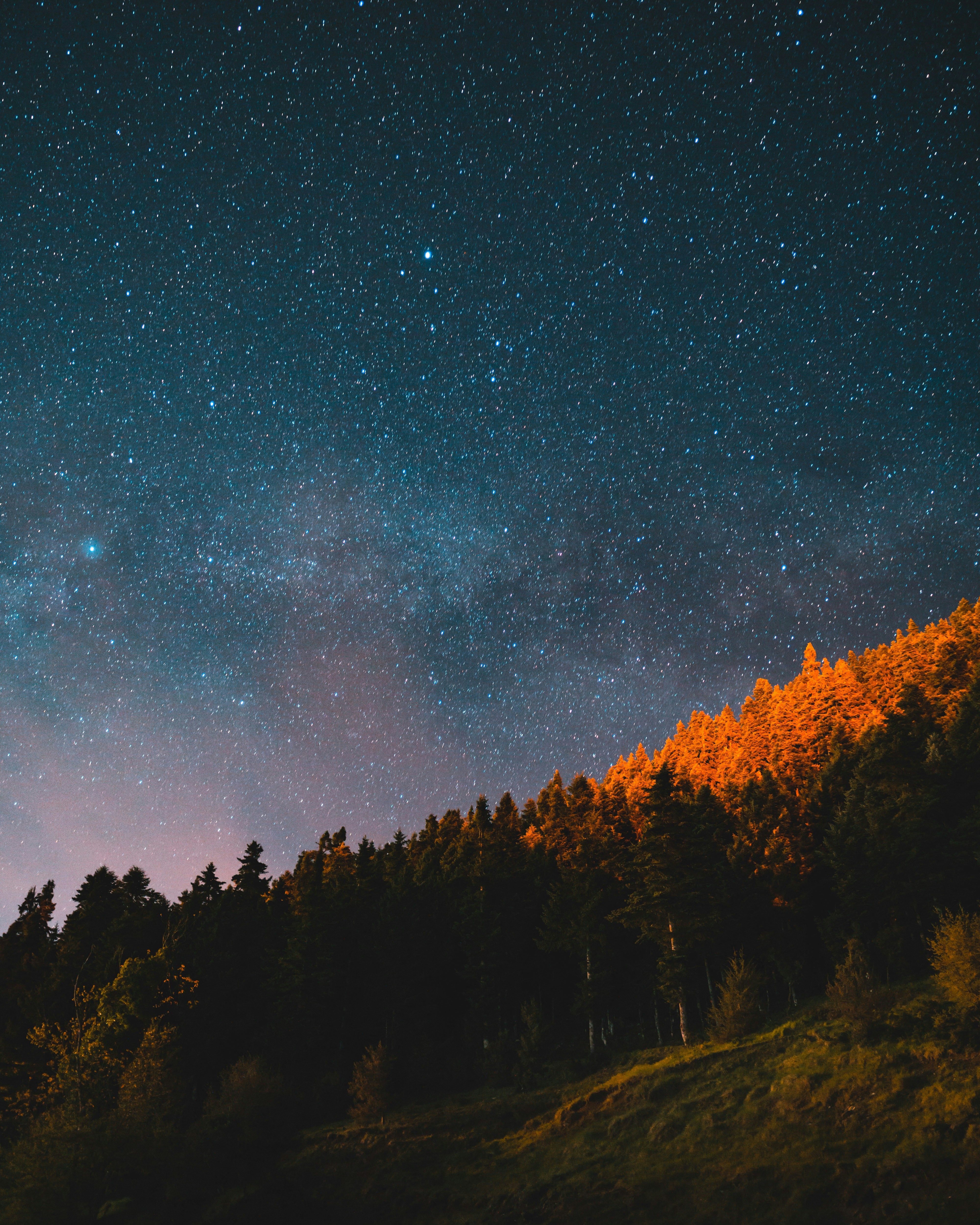 Starry Night Over Forest Hillside
