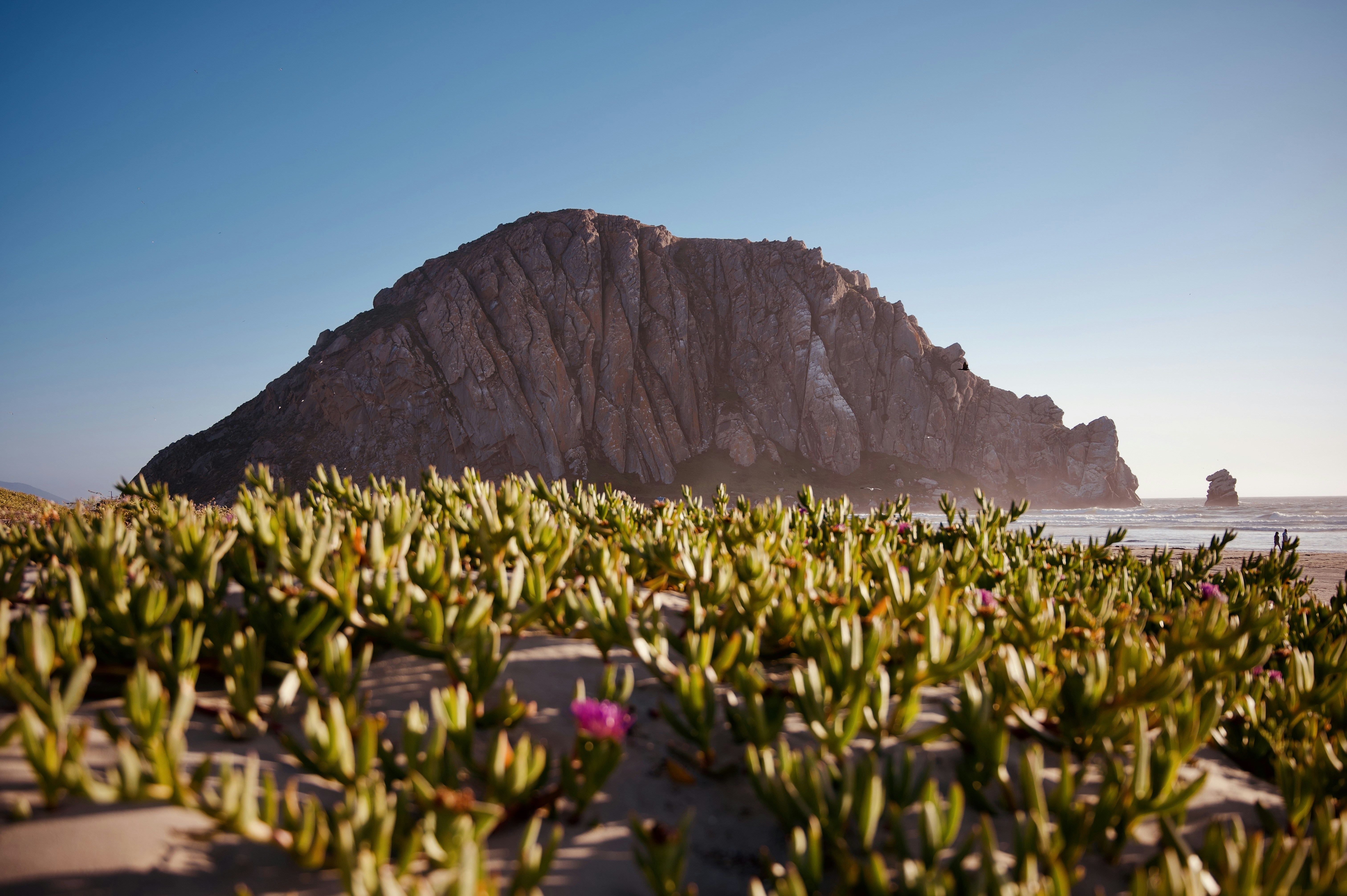 Morro Rock Coastal Landscape