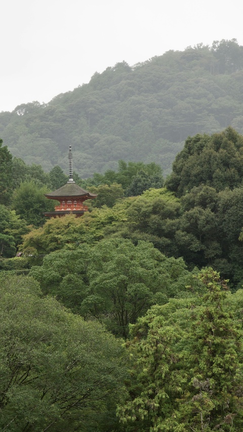 Red Pagoda in Lush Green Forest