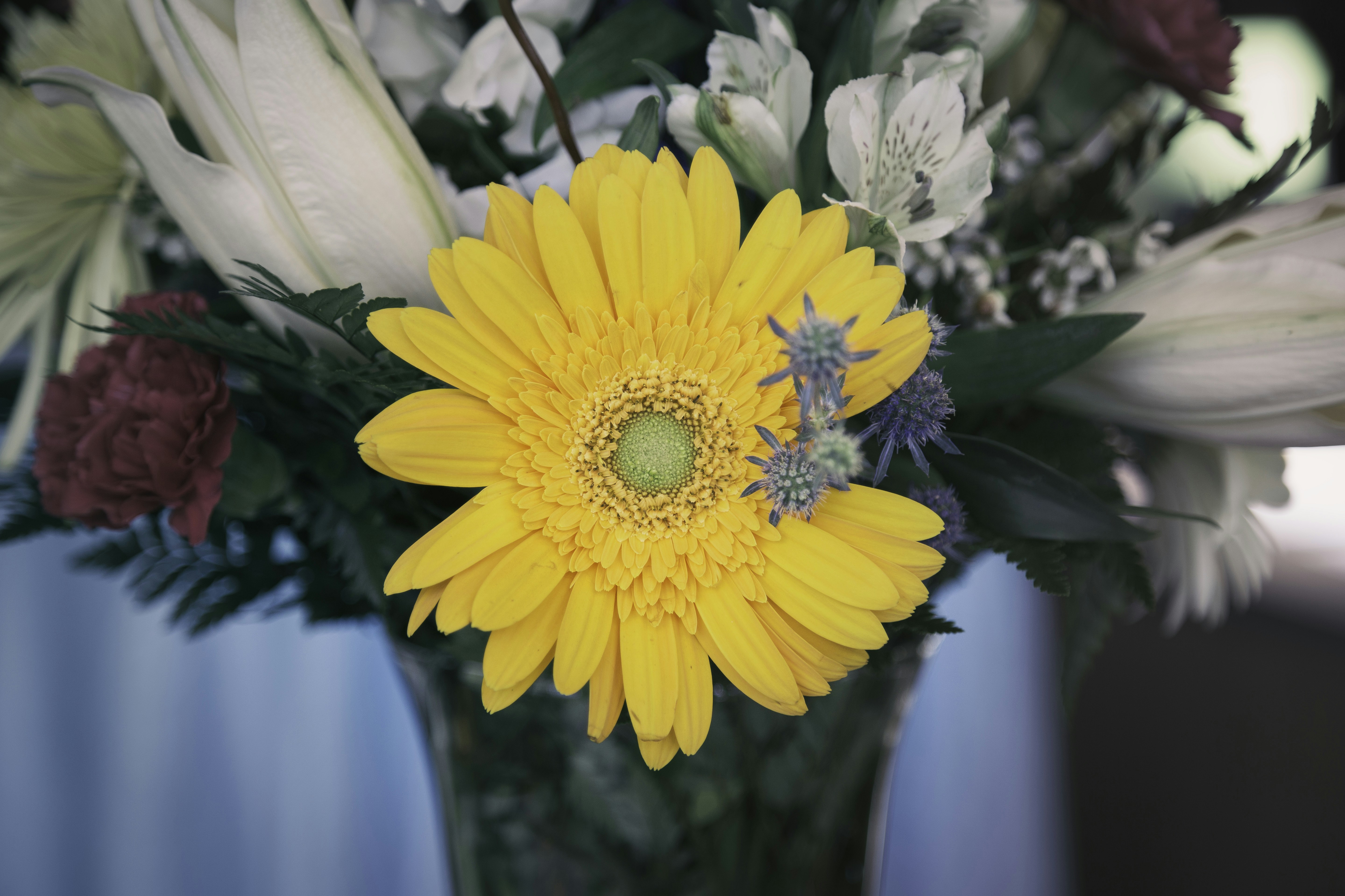 Yellow Gerbera in Flower Bouquet
