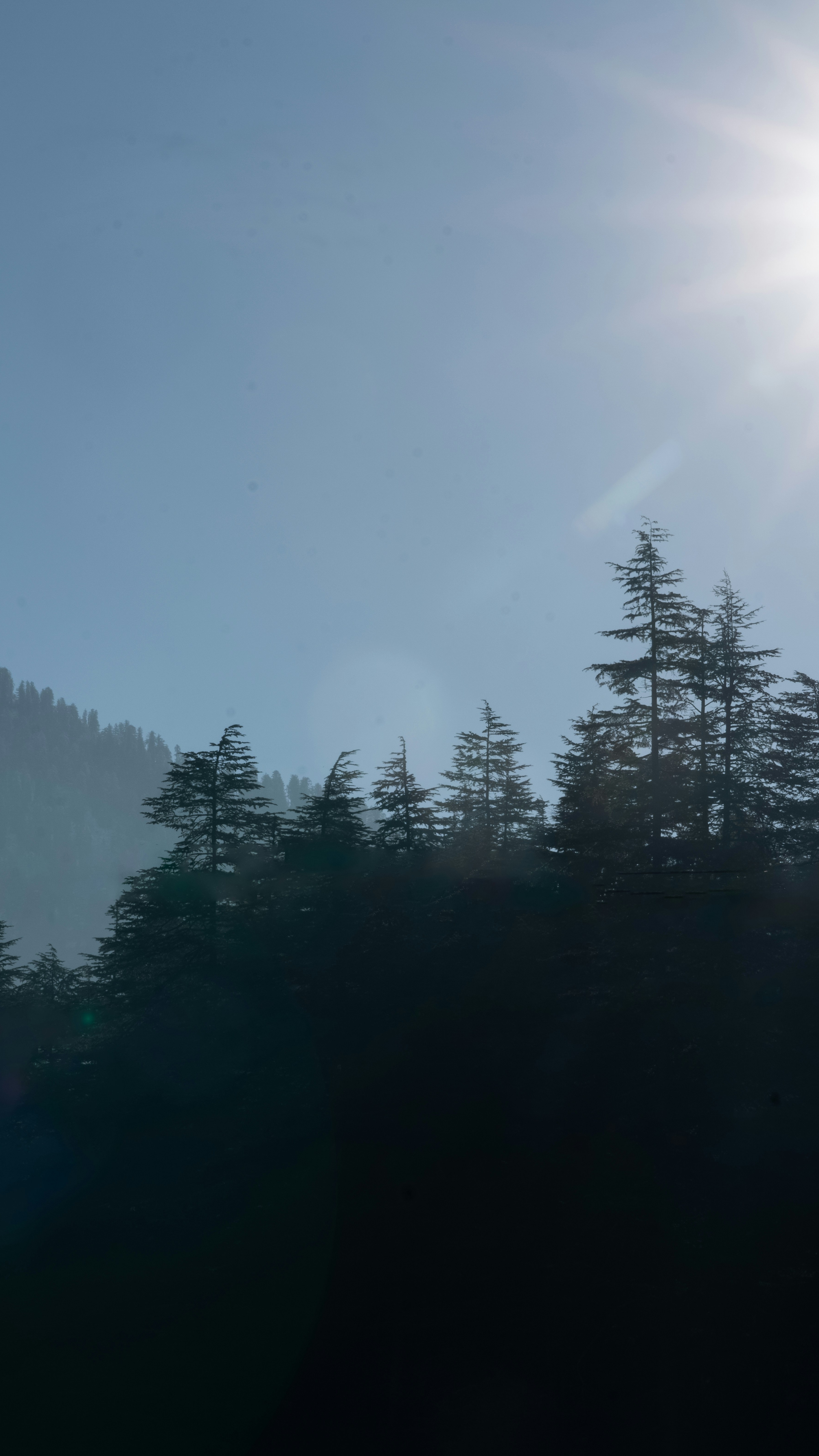 Wallpapers
