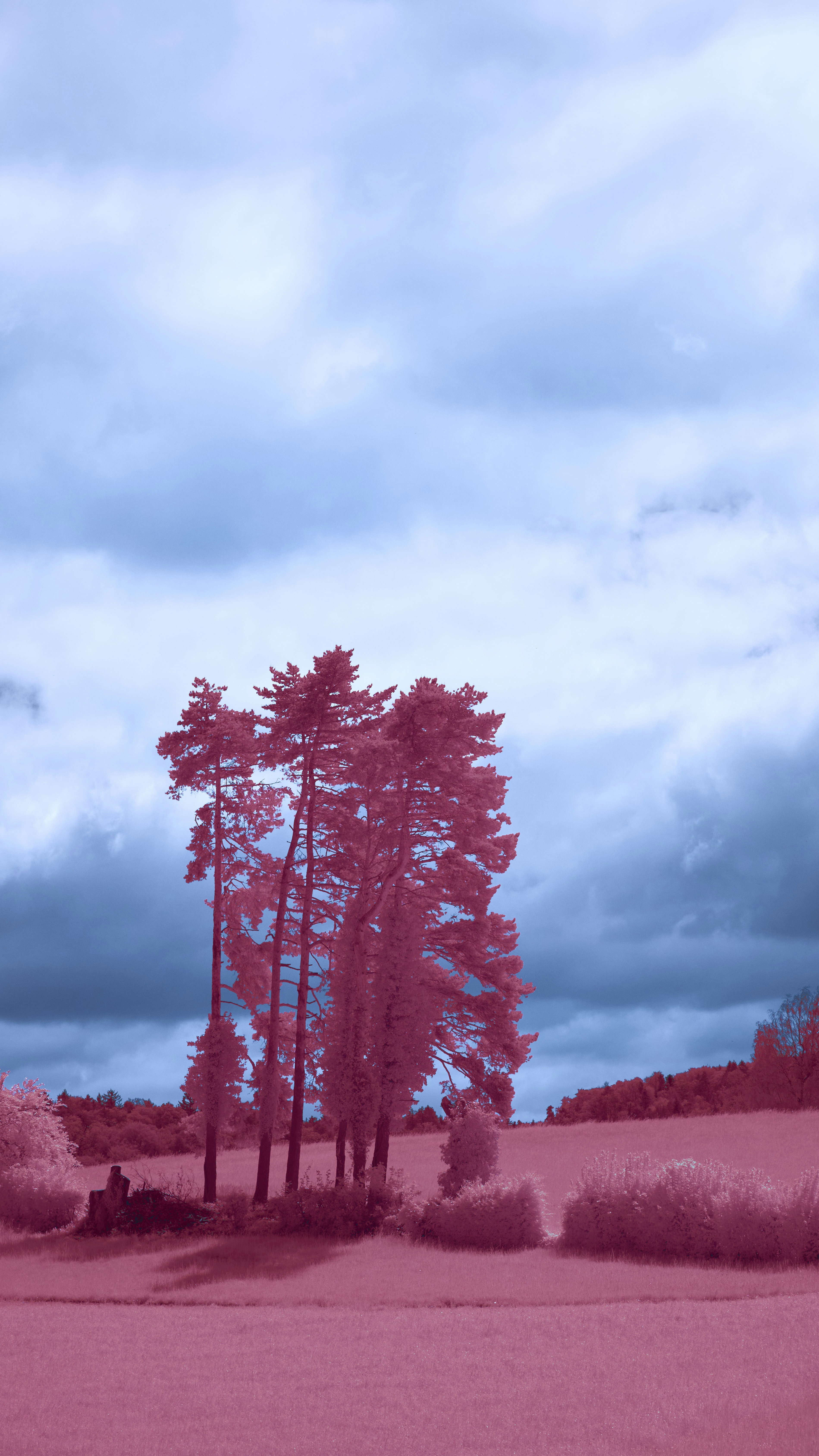 Wallpapers