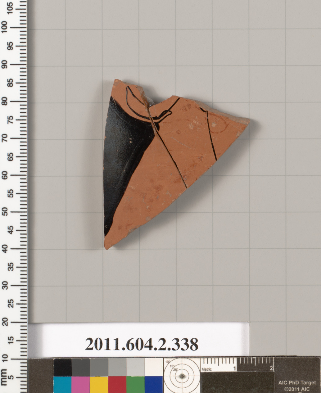Ancient Terracotta Pottery Fragment