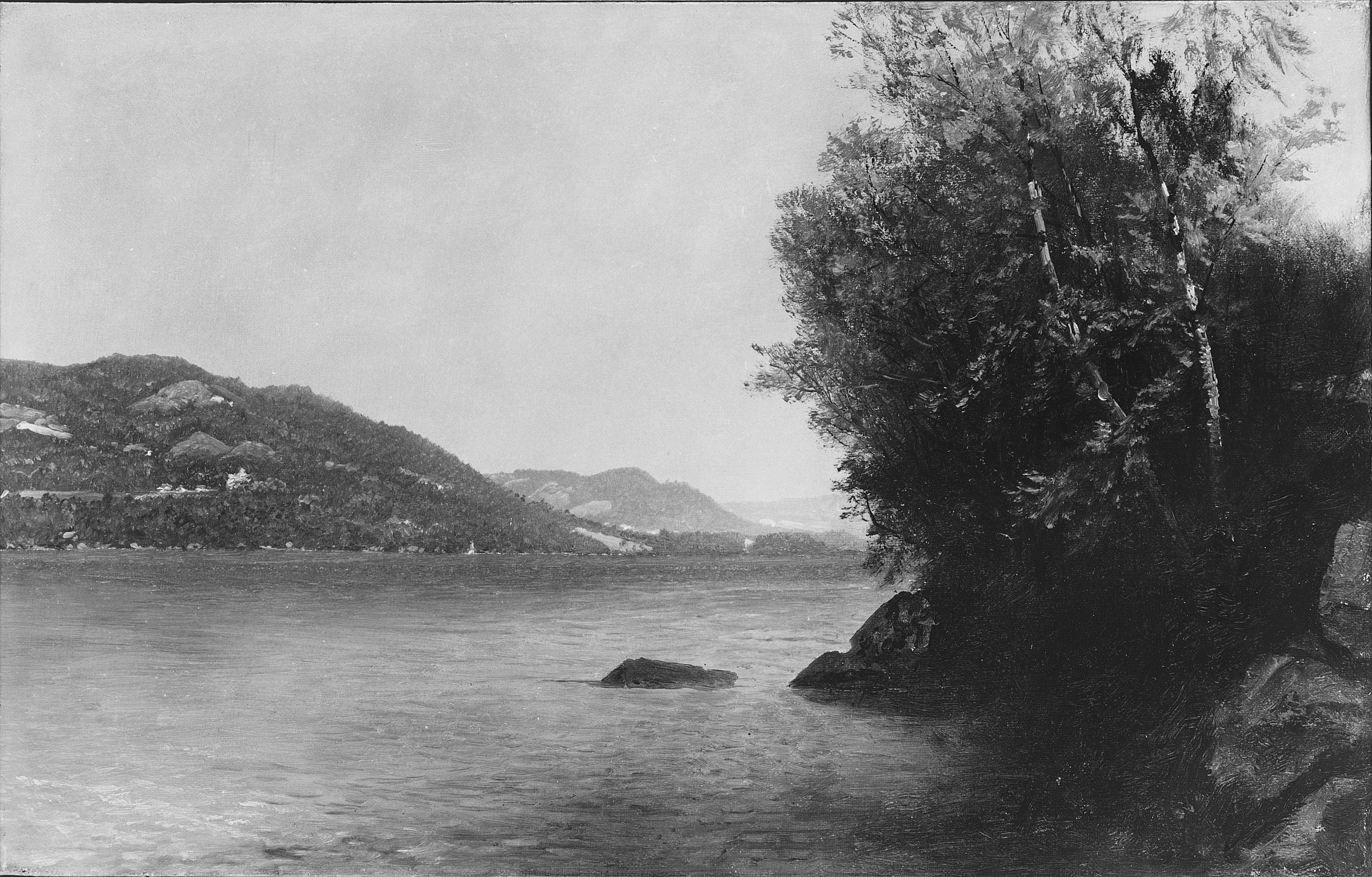 Wooded River Landscape