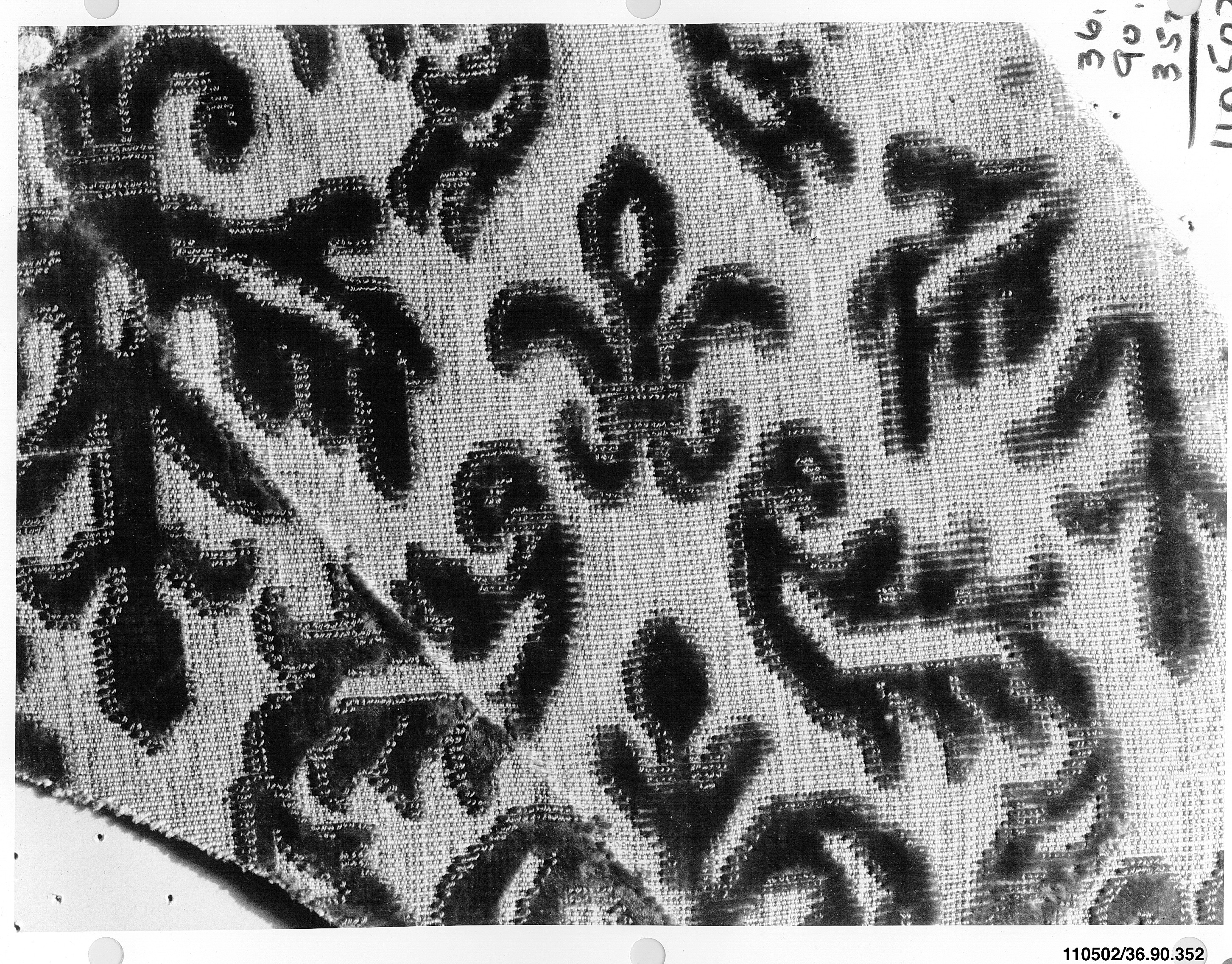 Floral Pattern Velvet Textile Fragment