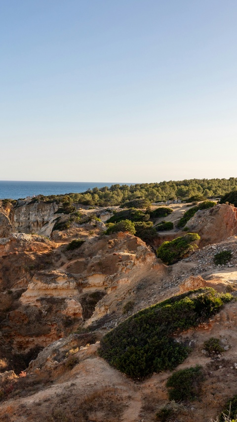 Image 1580452 — Nature