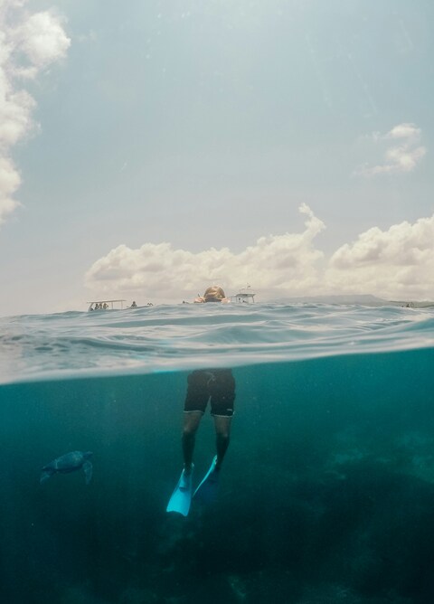 Half Underwater View of Snorkeler and Turtle