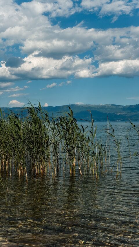 Image 1622879 — Scenery