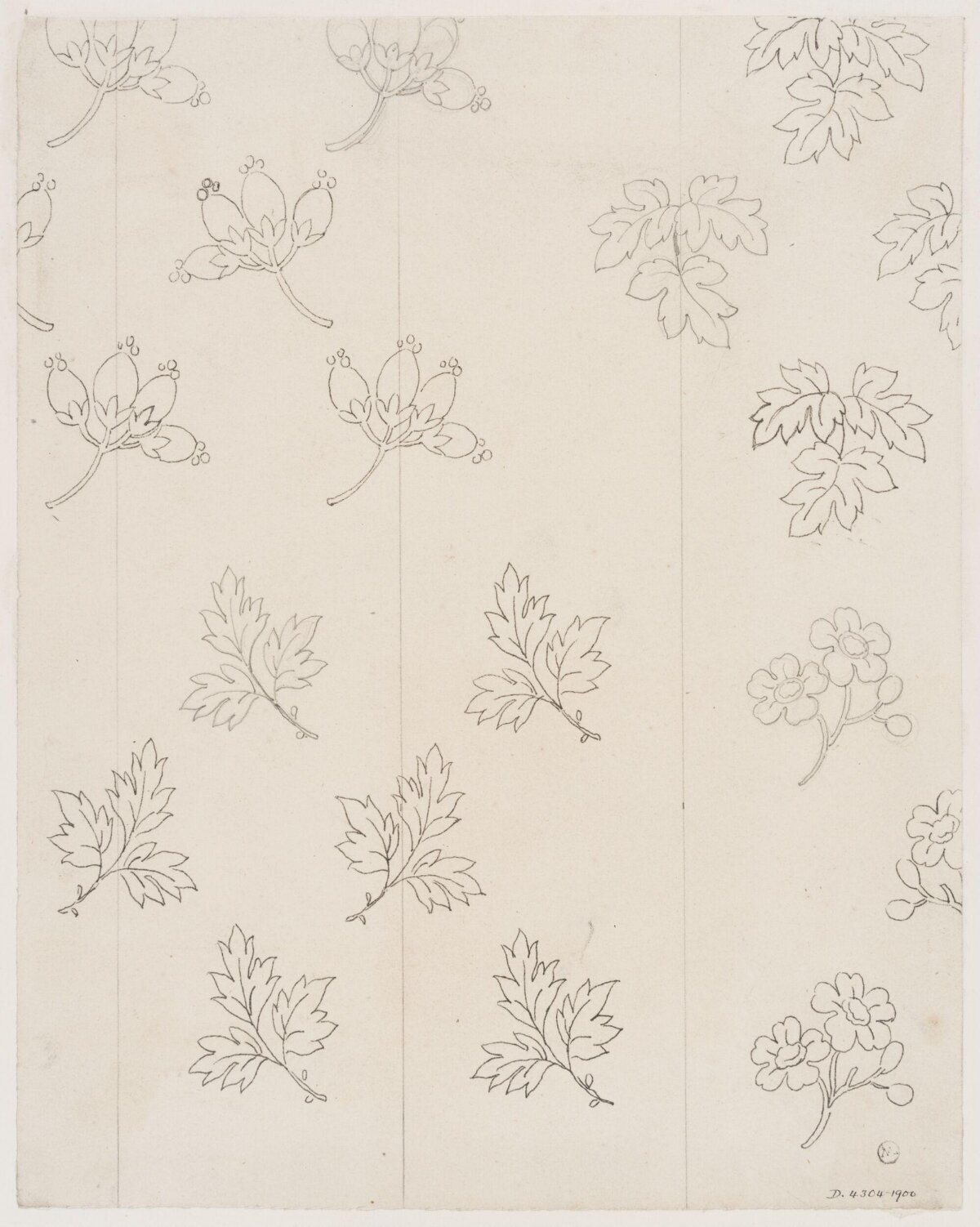 Botanical Pattern Design Sketch