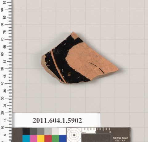 Ancient Pottery Shard Specimen