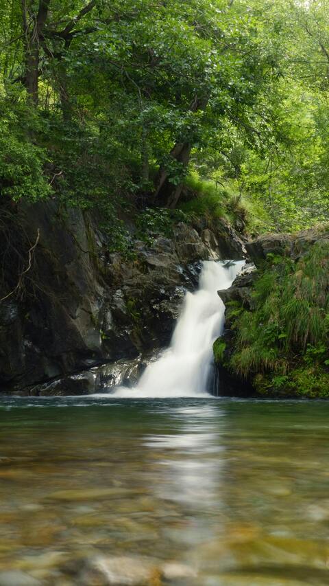 Small Waterfall Flowing Into Forest Pool