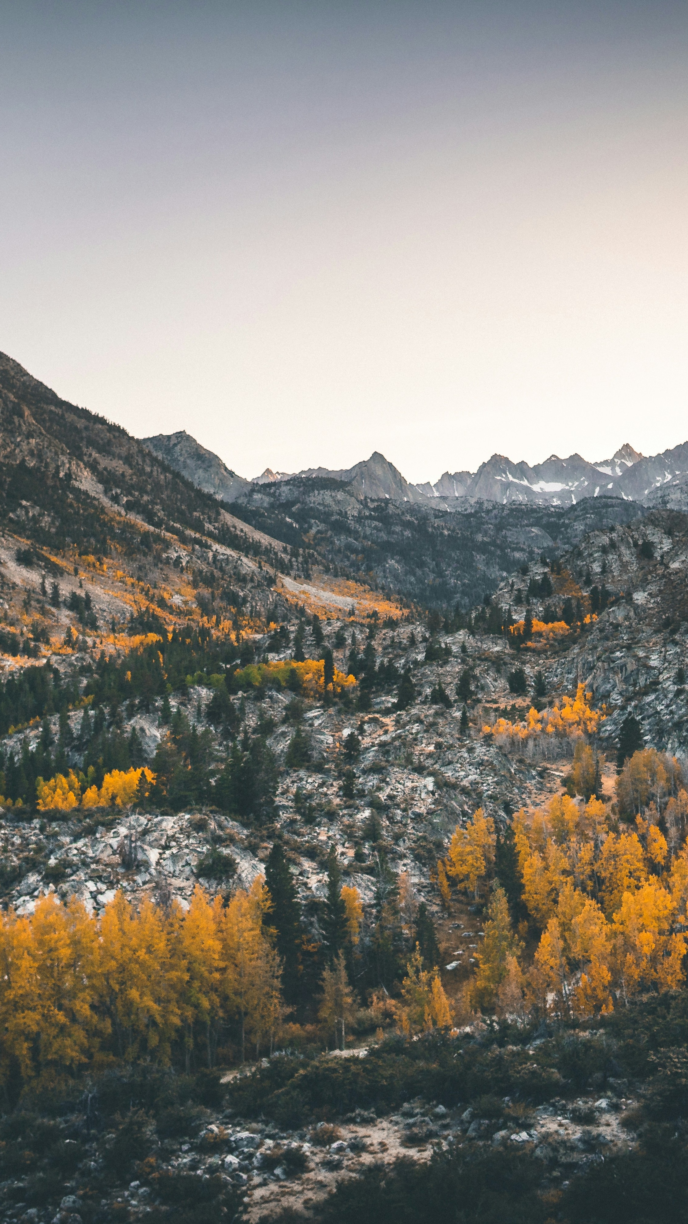 Autumn Mountain Valley Landscape