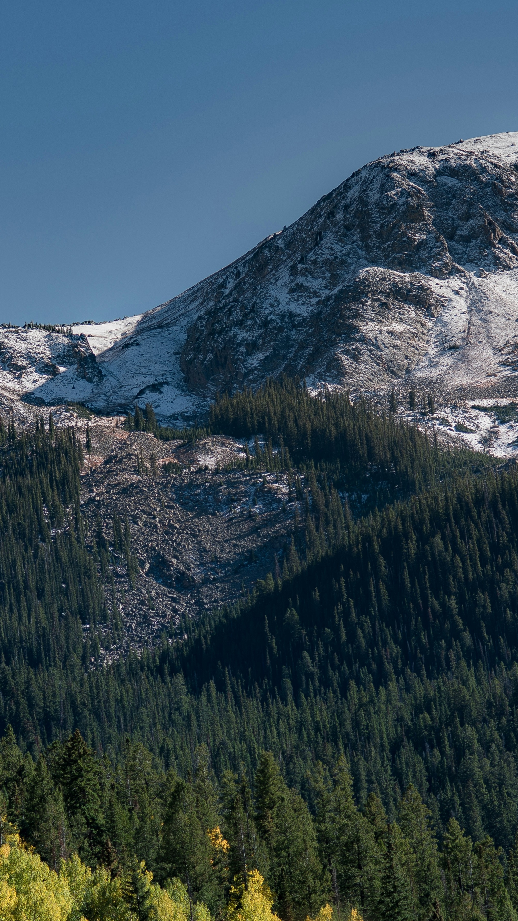 Snow-dusted Mountain Forest Landscape