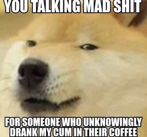 Offensive Cheems Dog Meme