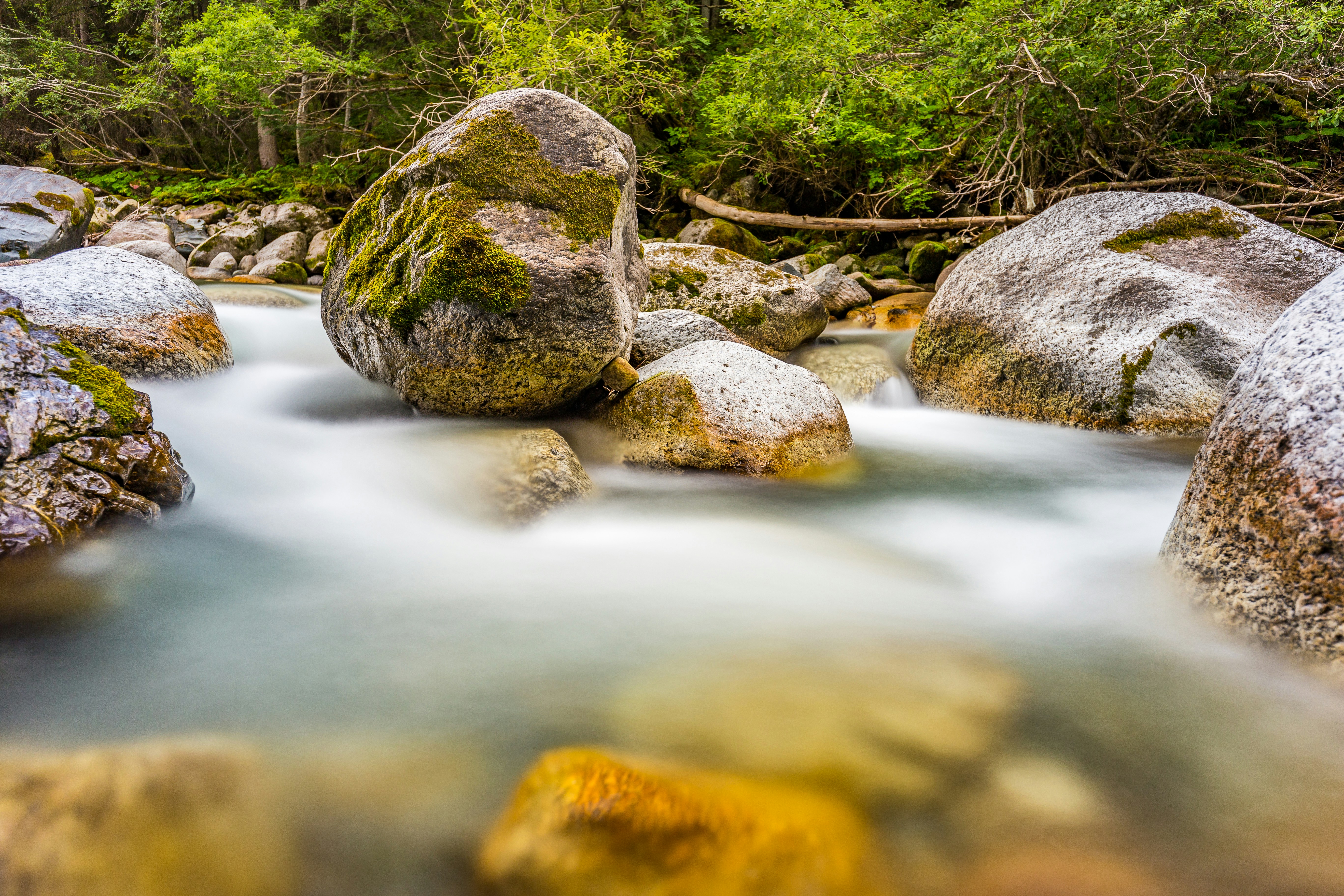 Forest Stream With Mossy Boulders