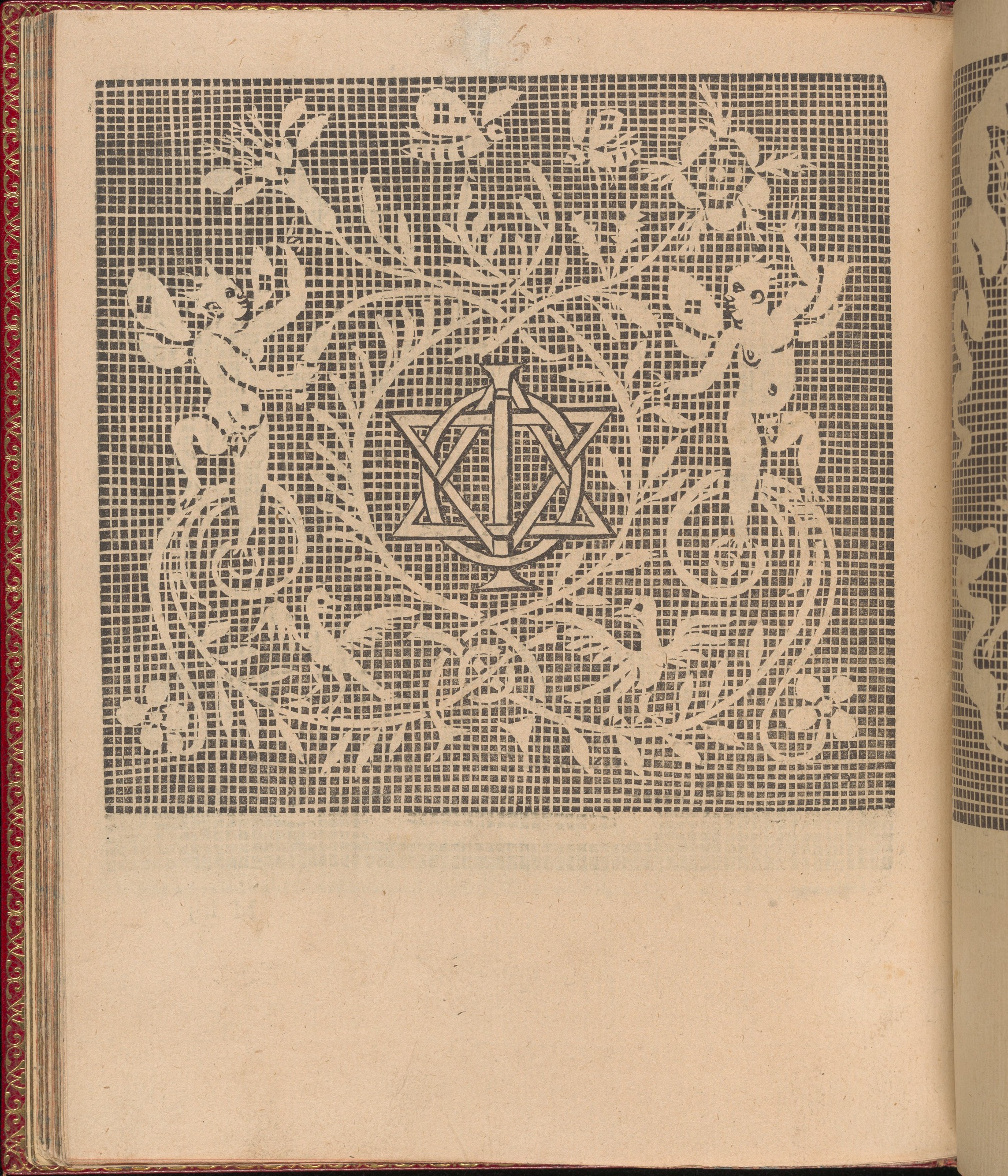 Renaissance Lace Pattern Print