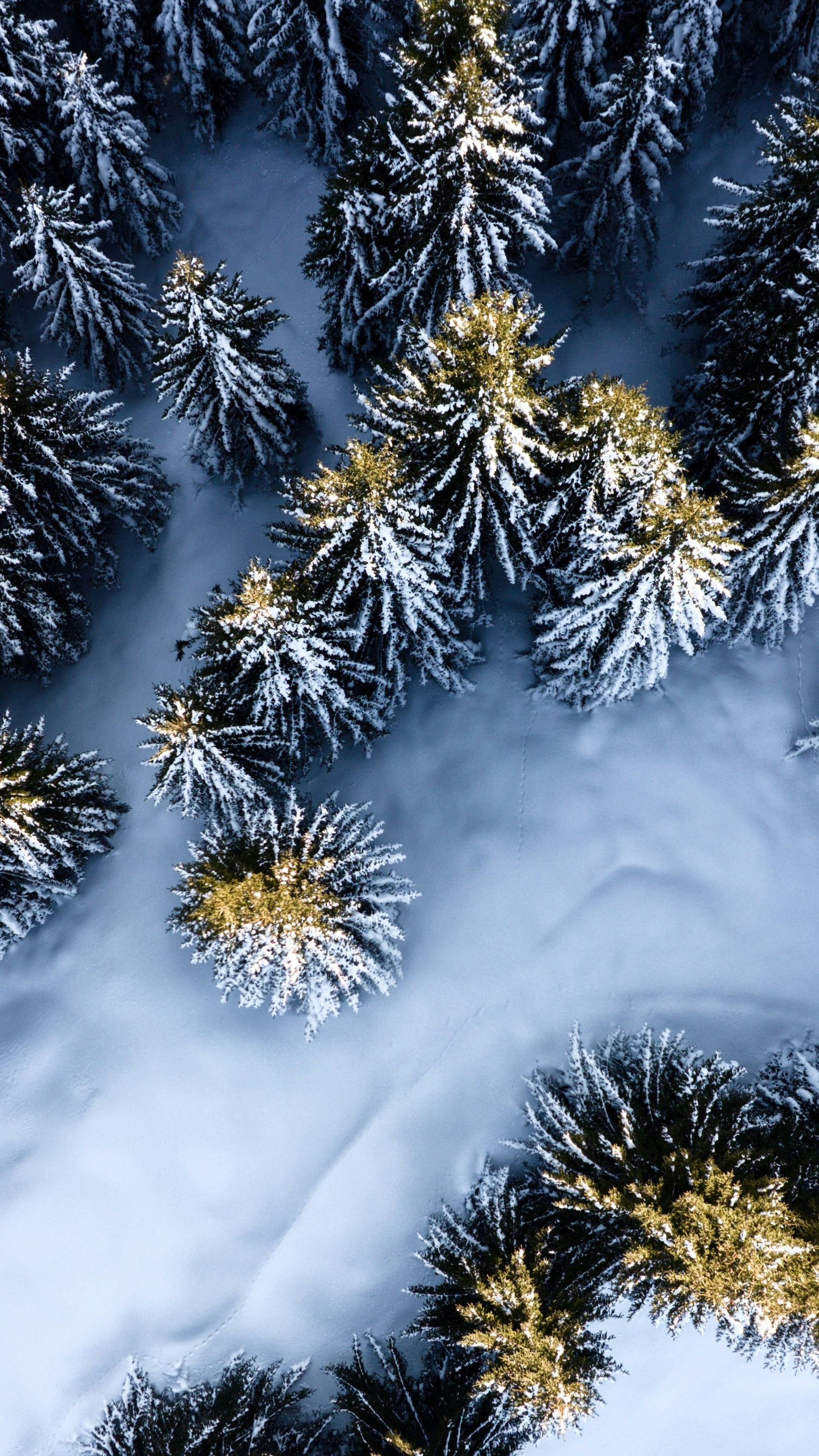 Wallpapers