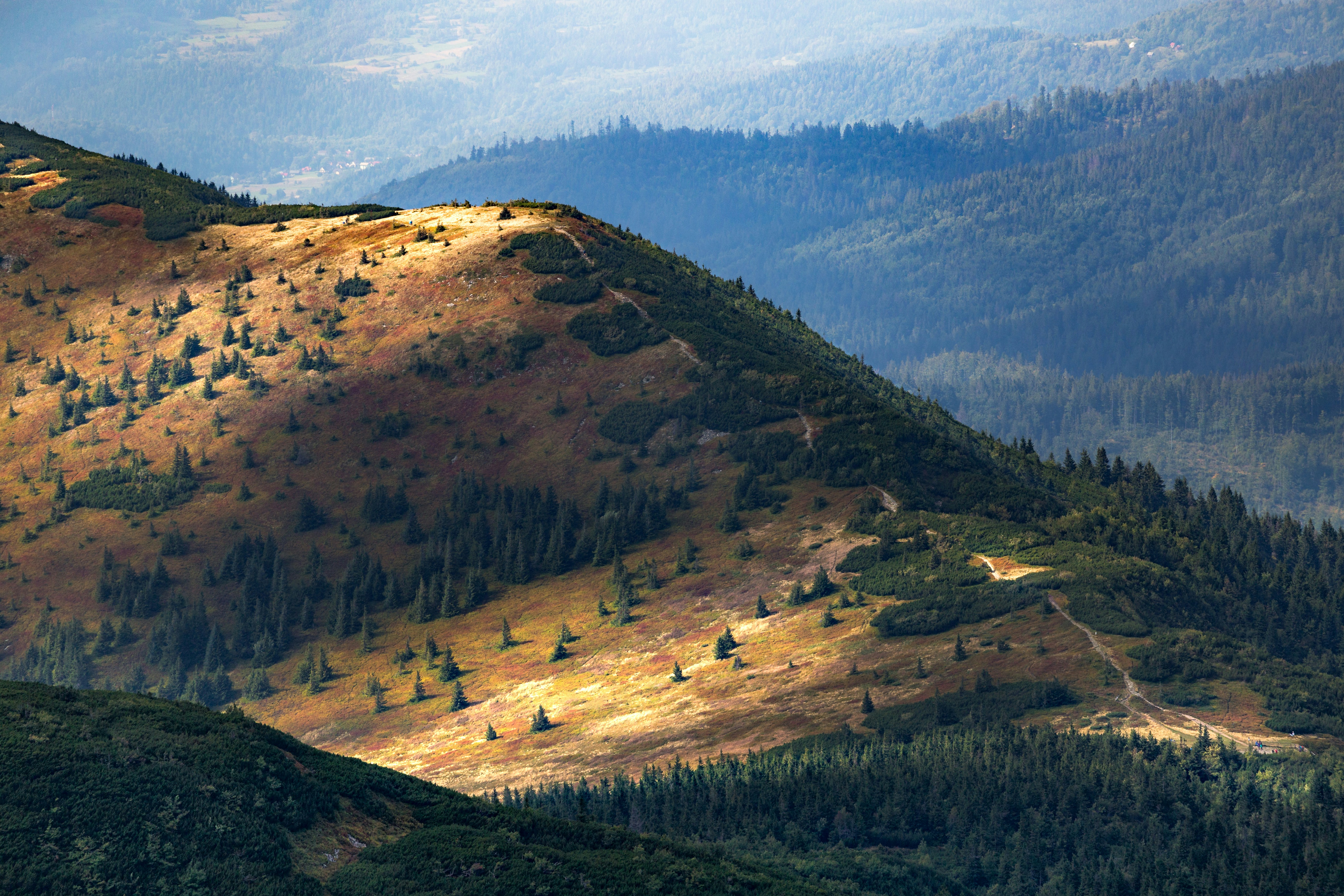 Sunlit Autumn Mountain Slope