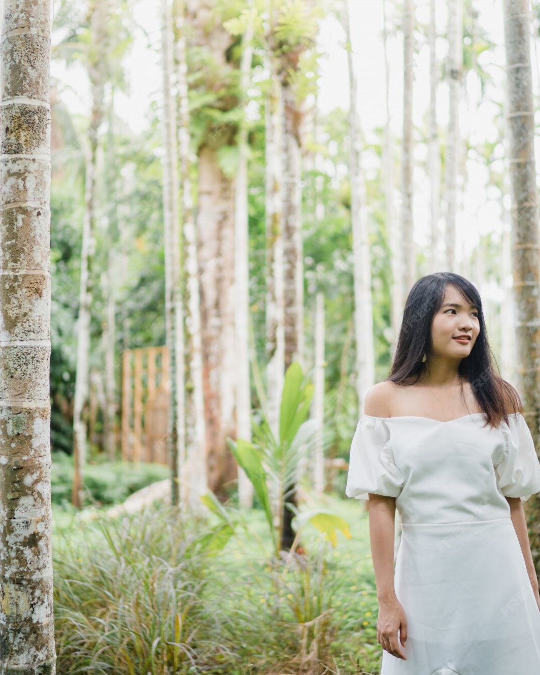 Forest & Flora