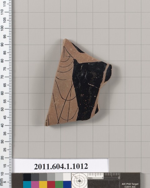 Ancient Pottery Fragment Artifact