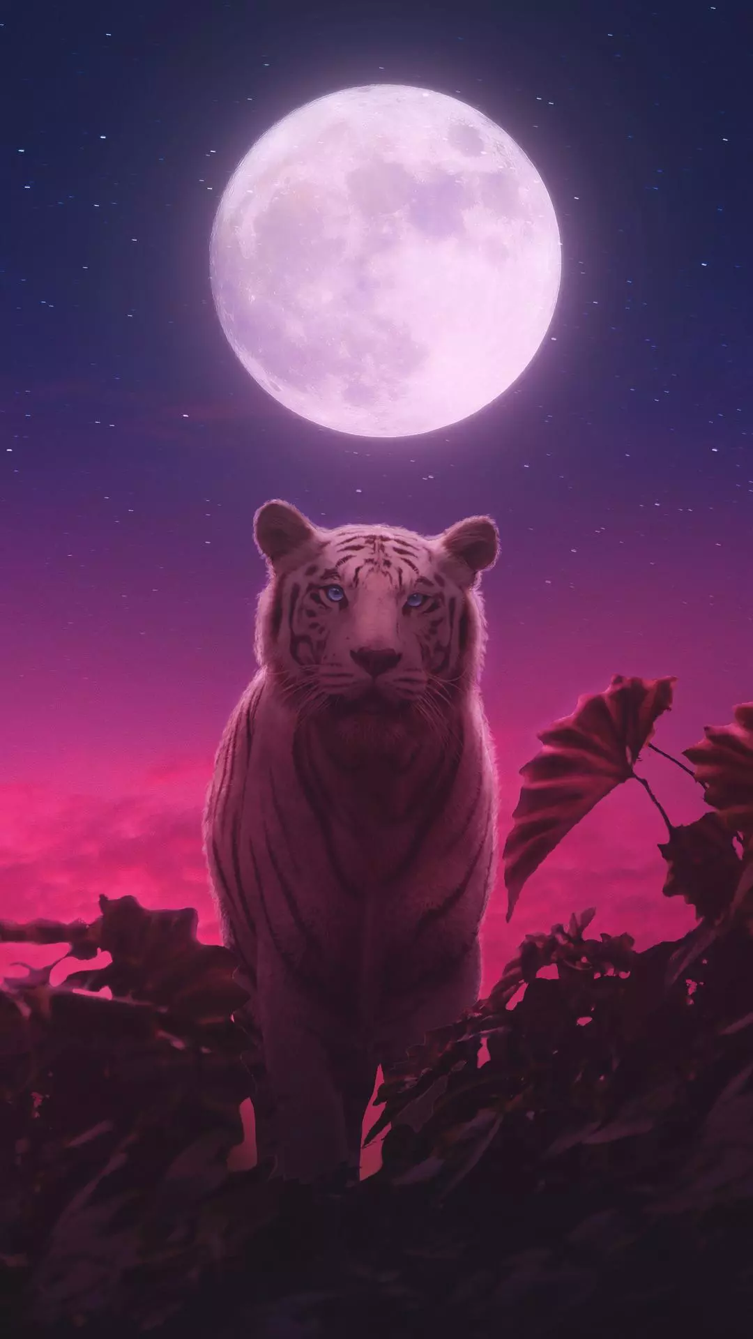 Wallpapers